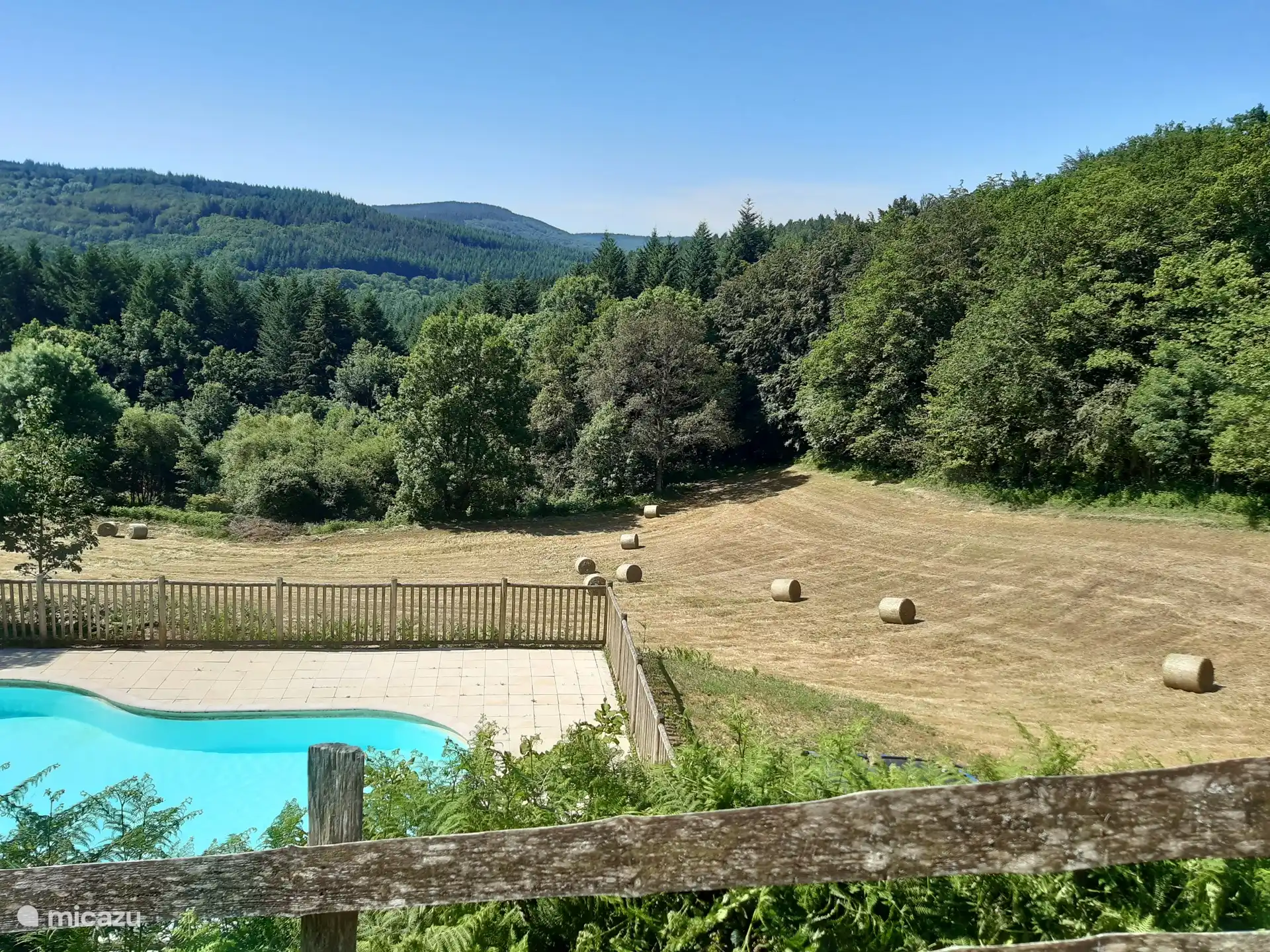 Uitzicht over het weiland en de bossen