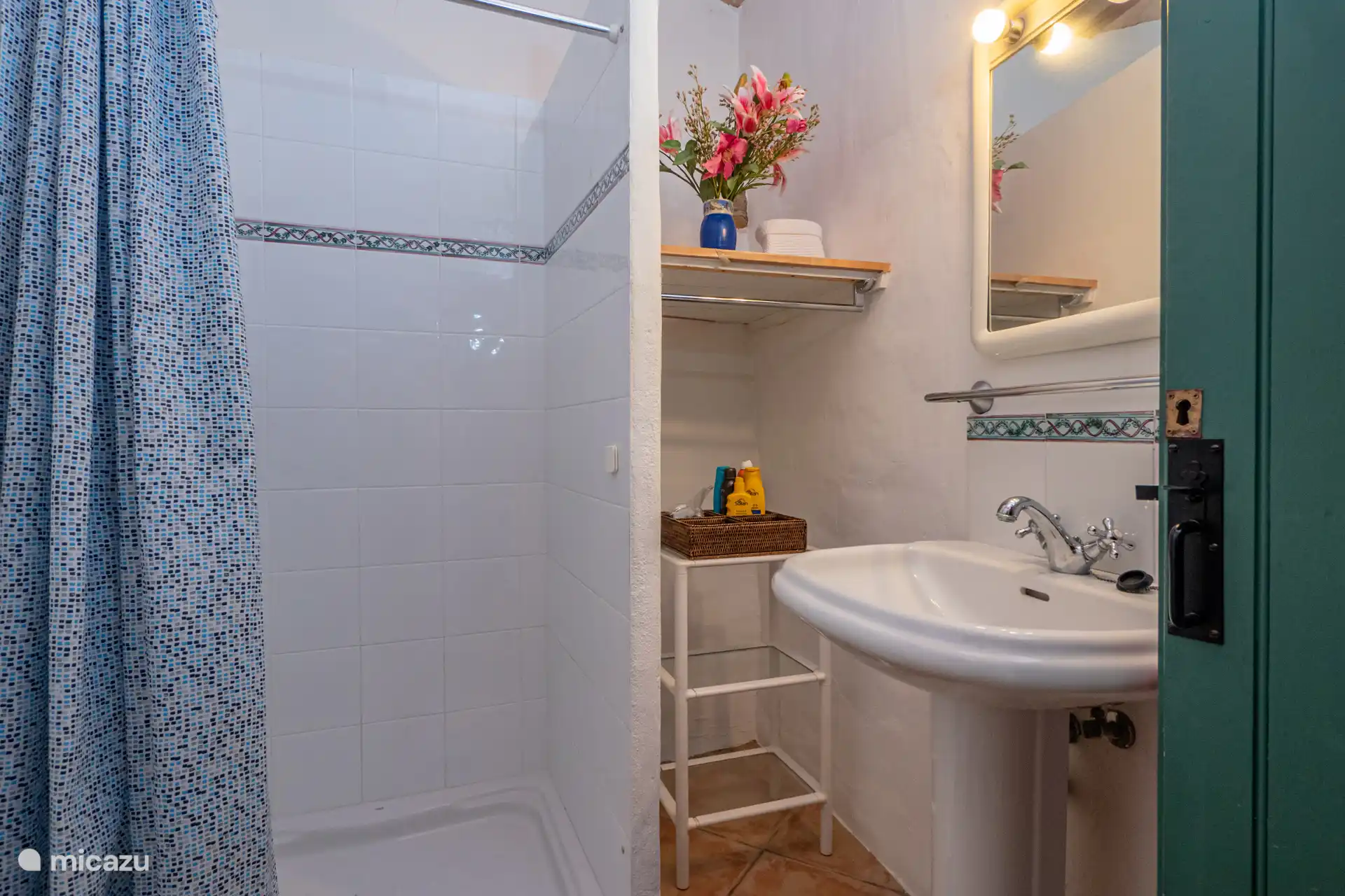 Salle de douche avec salle de bain attenante