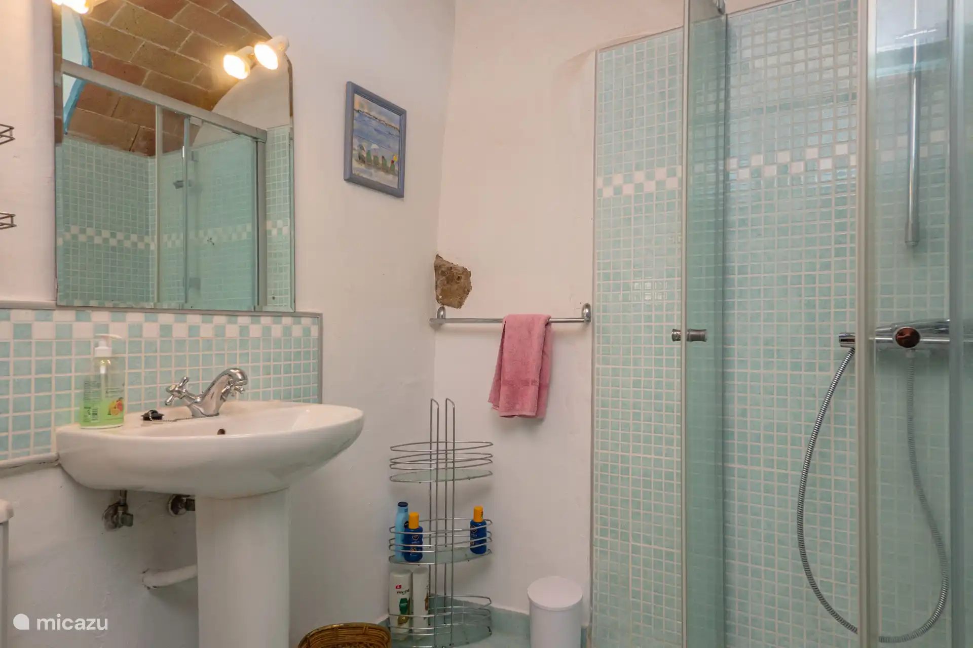 Salle de douche avec salle de bain attenante