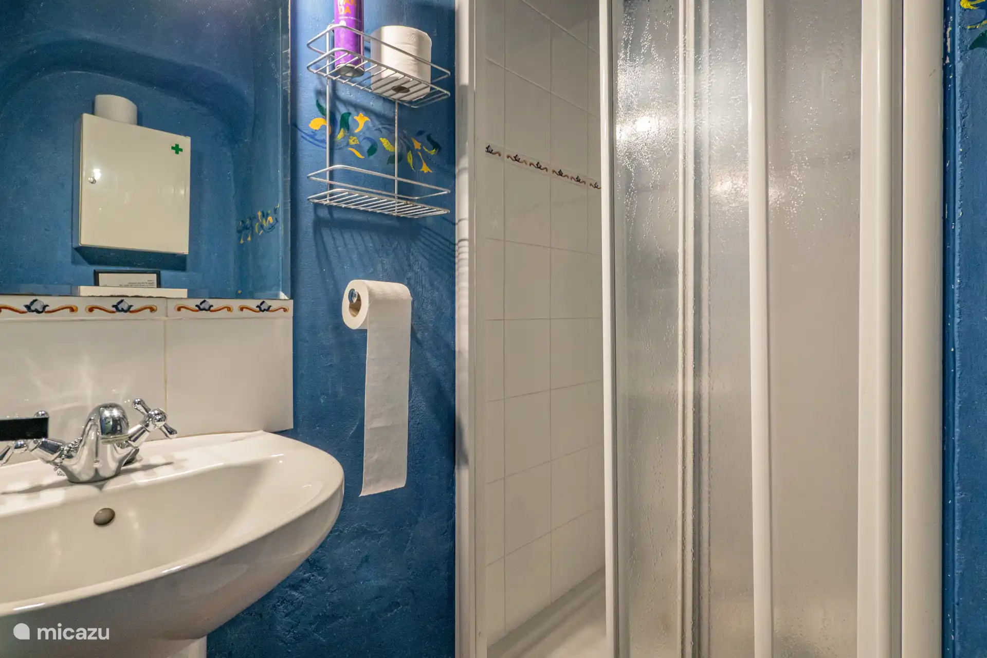 Salle de douche - chambre