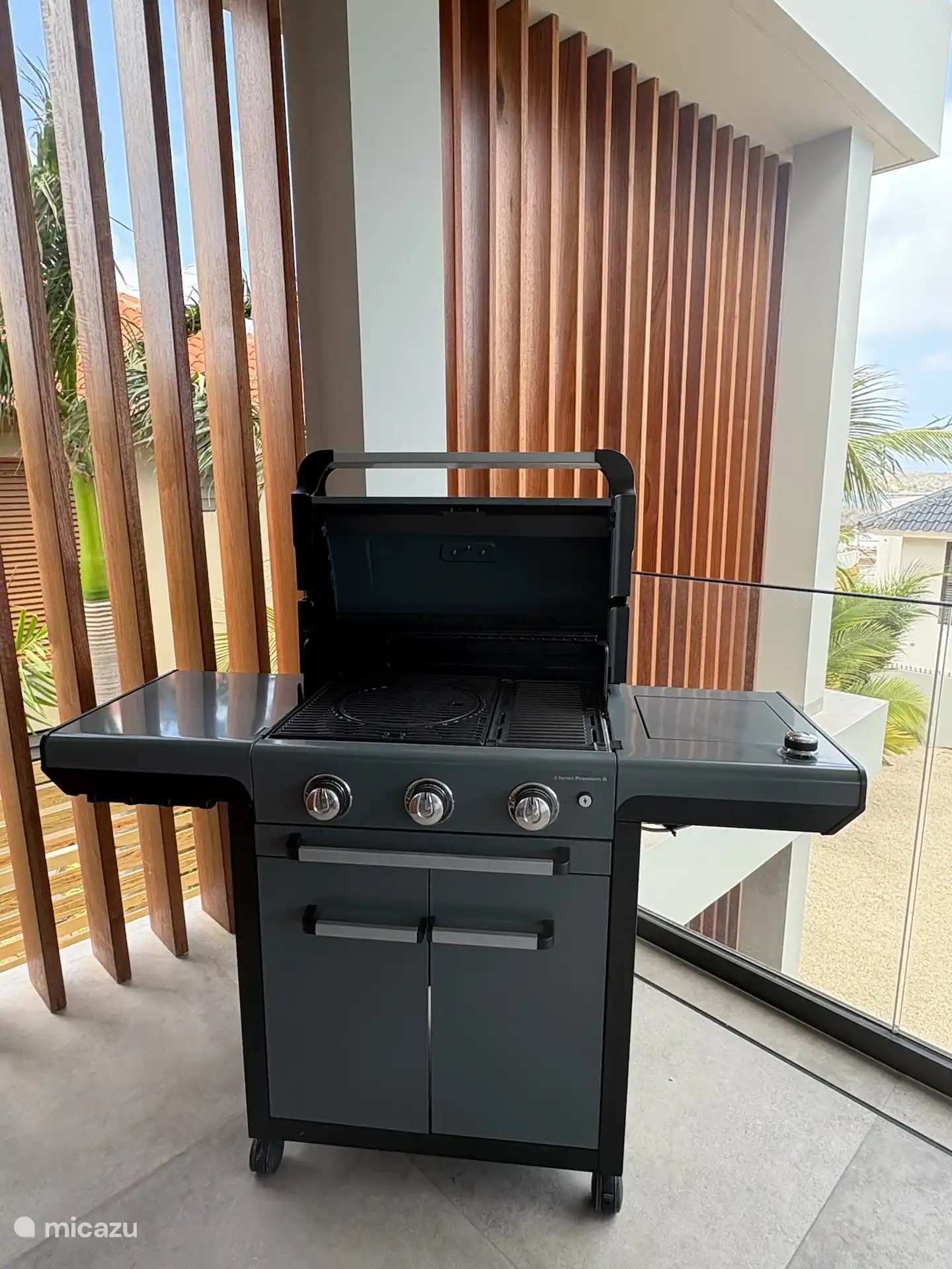 Barbacoa de gas