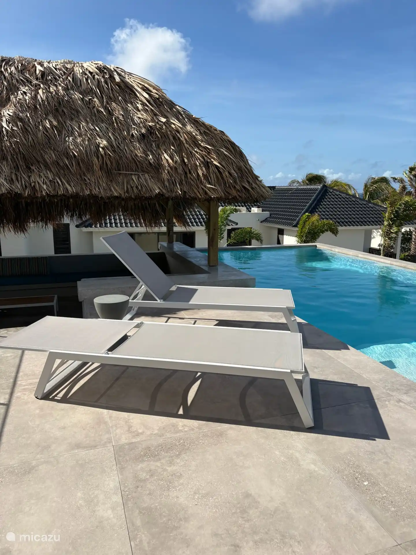Piscina con palapa