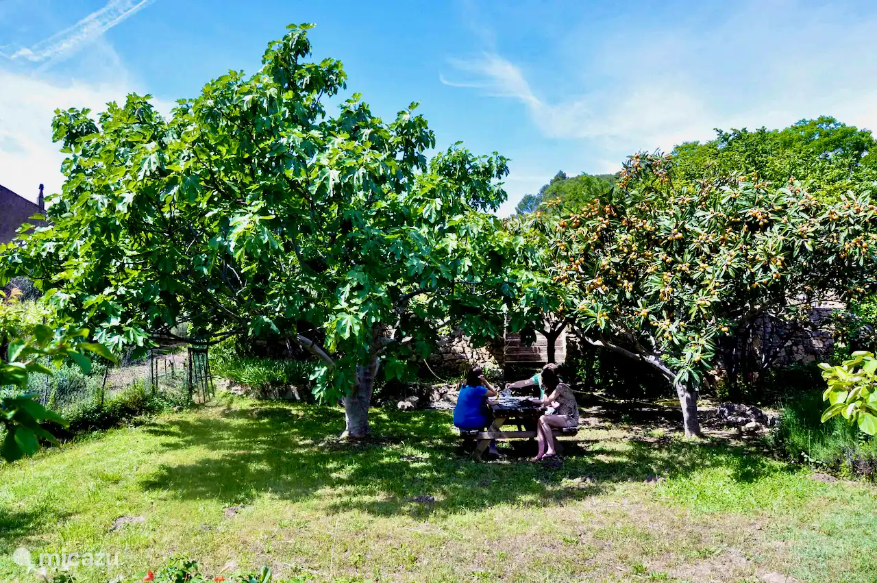 Jardin