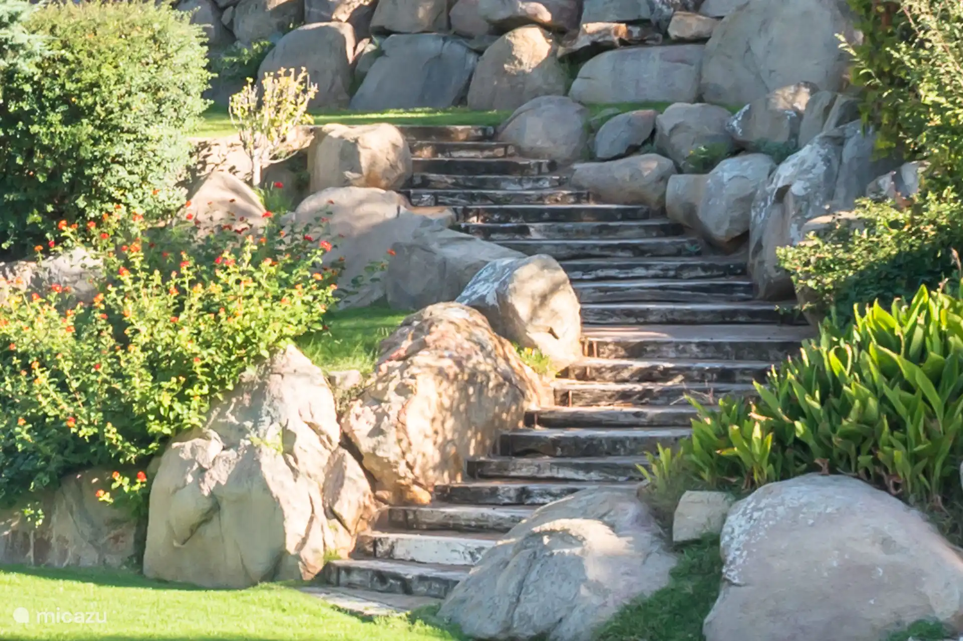 Detalles de la comunidad