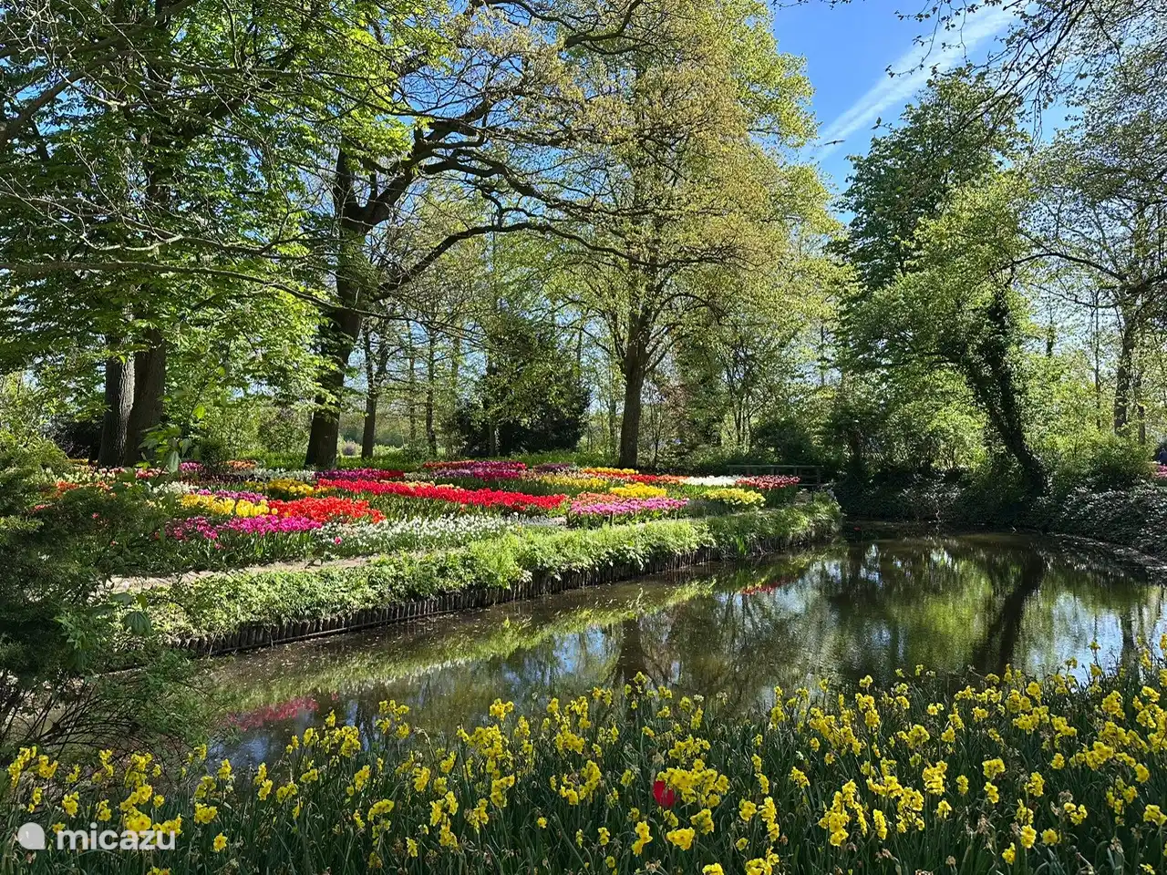 Poldertuin, Anna Paulowna (entrée gratuite et fortement recommandée pendant la saison des bulbes)