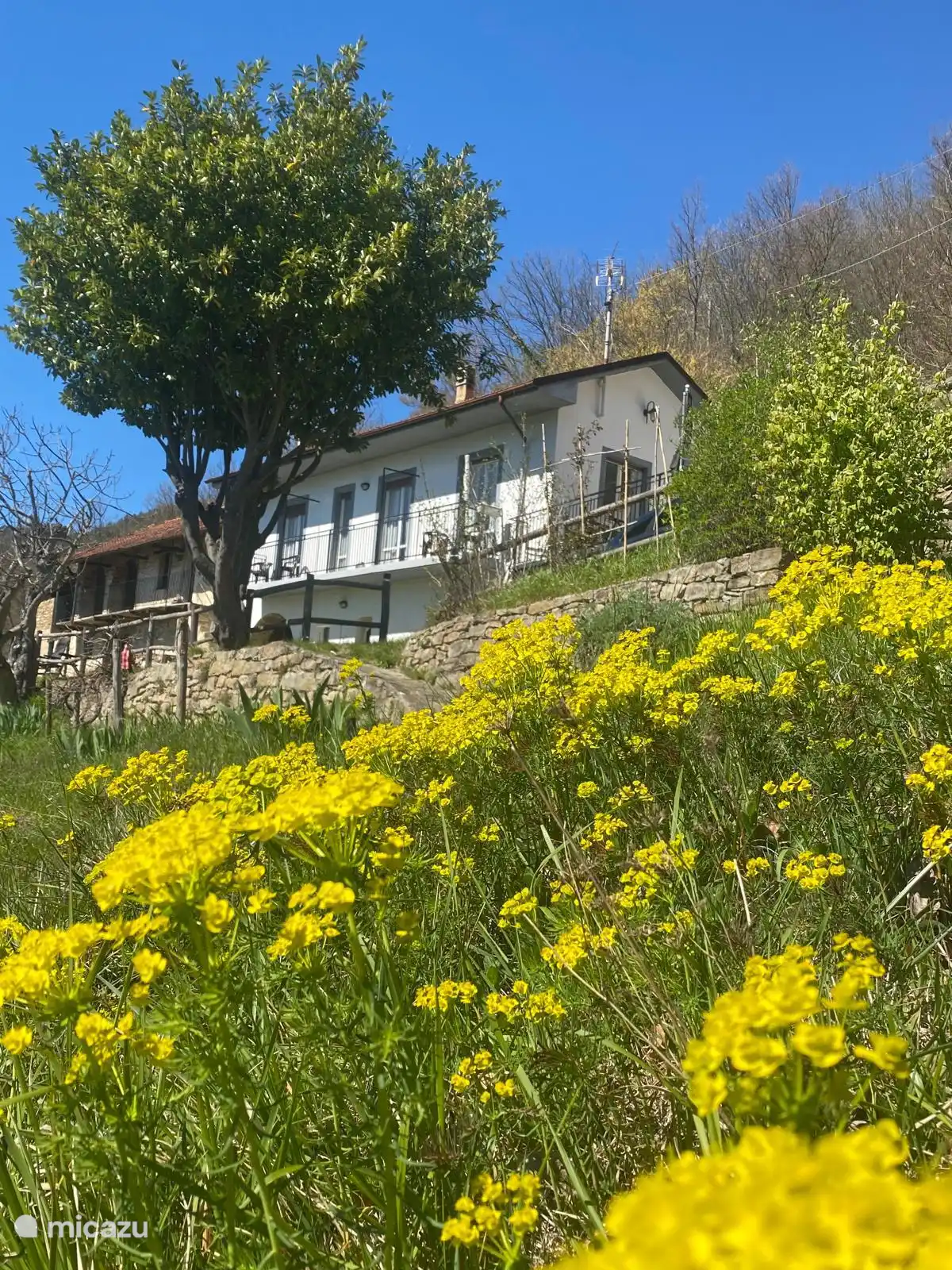 Luxe accommodatie, Italië, Piëmont, Cortemilia, vakantiehuis Villa Masoni