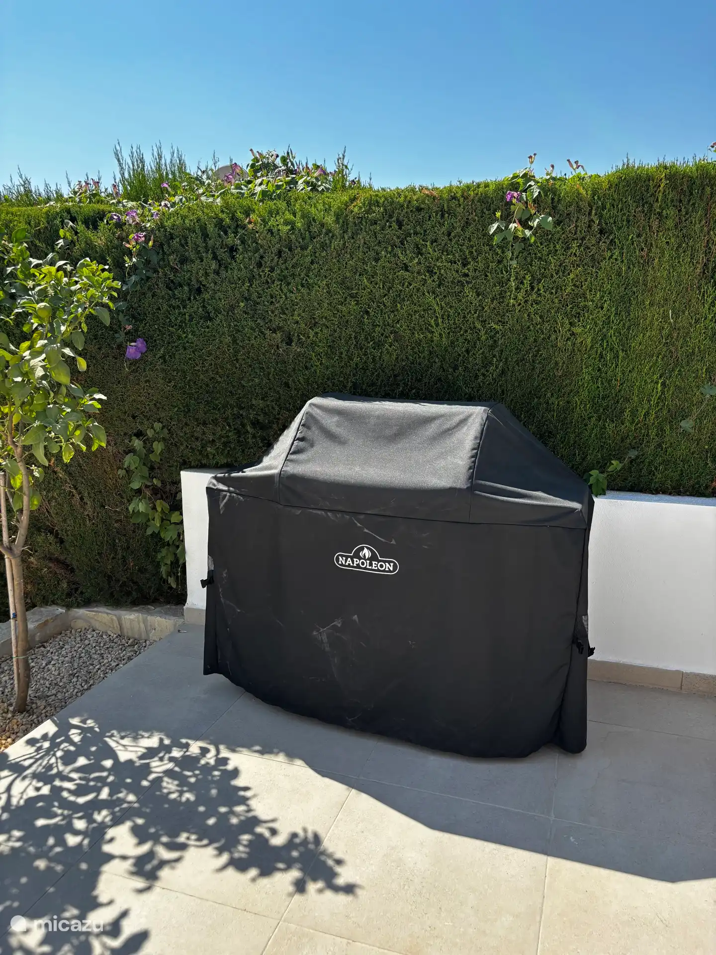 Bbq