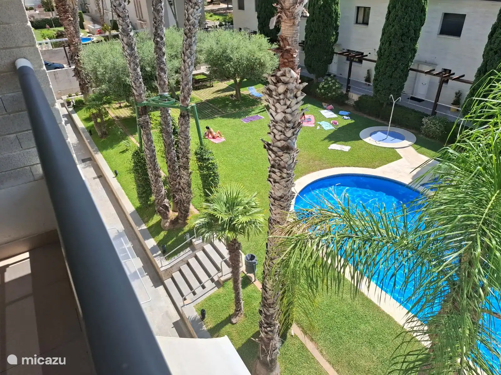 Common garden with swimming pool