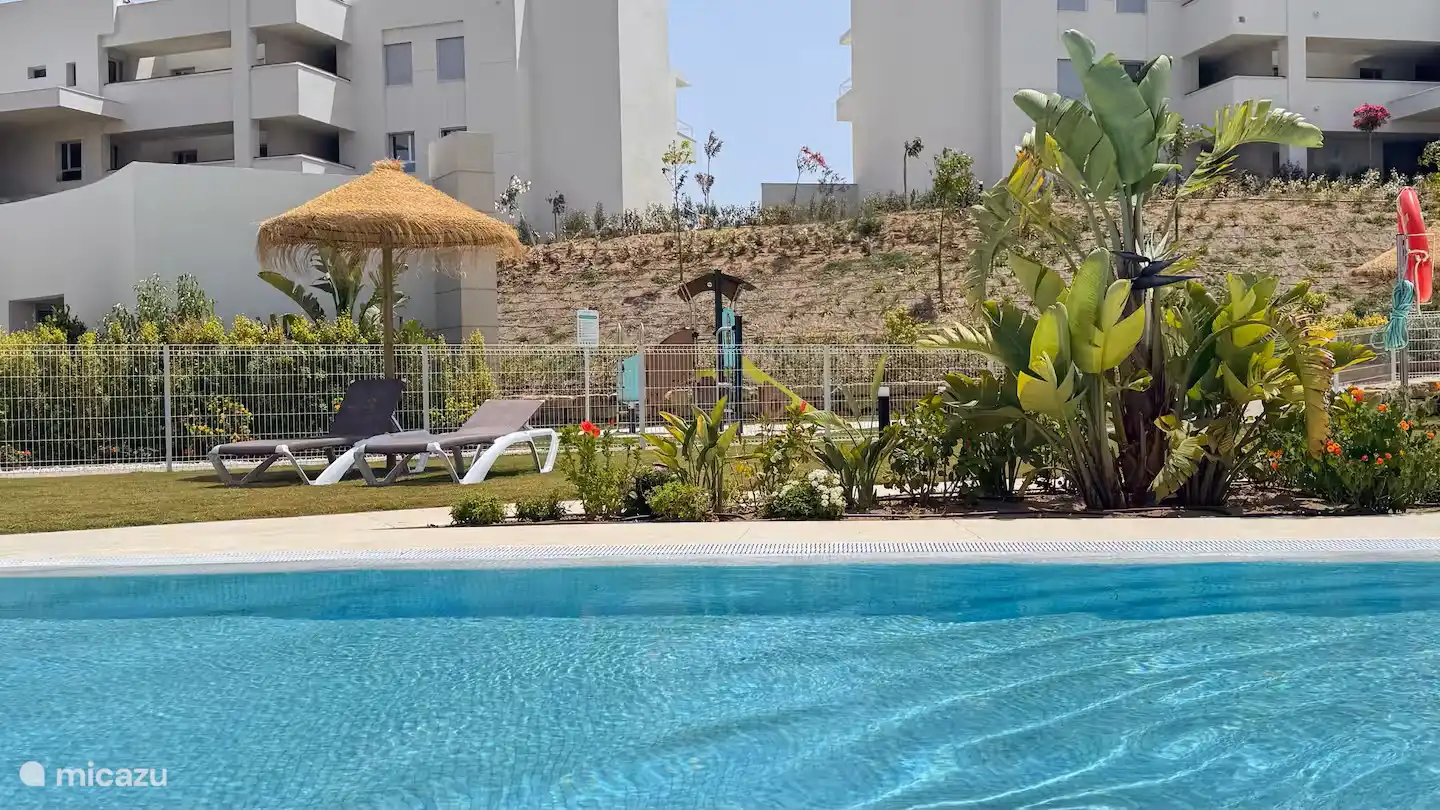 Zwembad en ligbedden