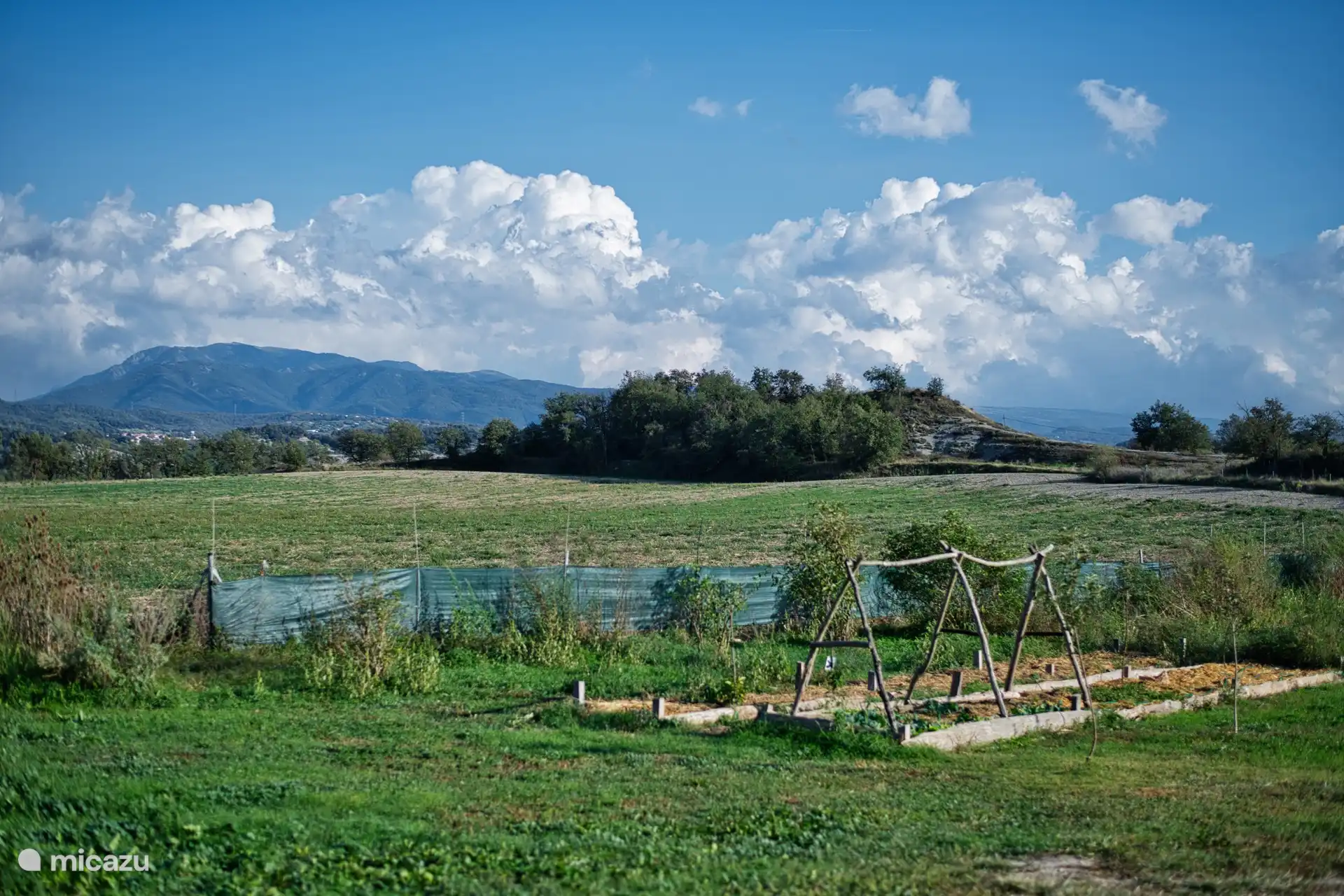 Tierras con plantaciones. 1 ha de terreno