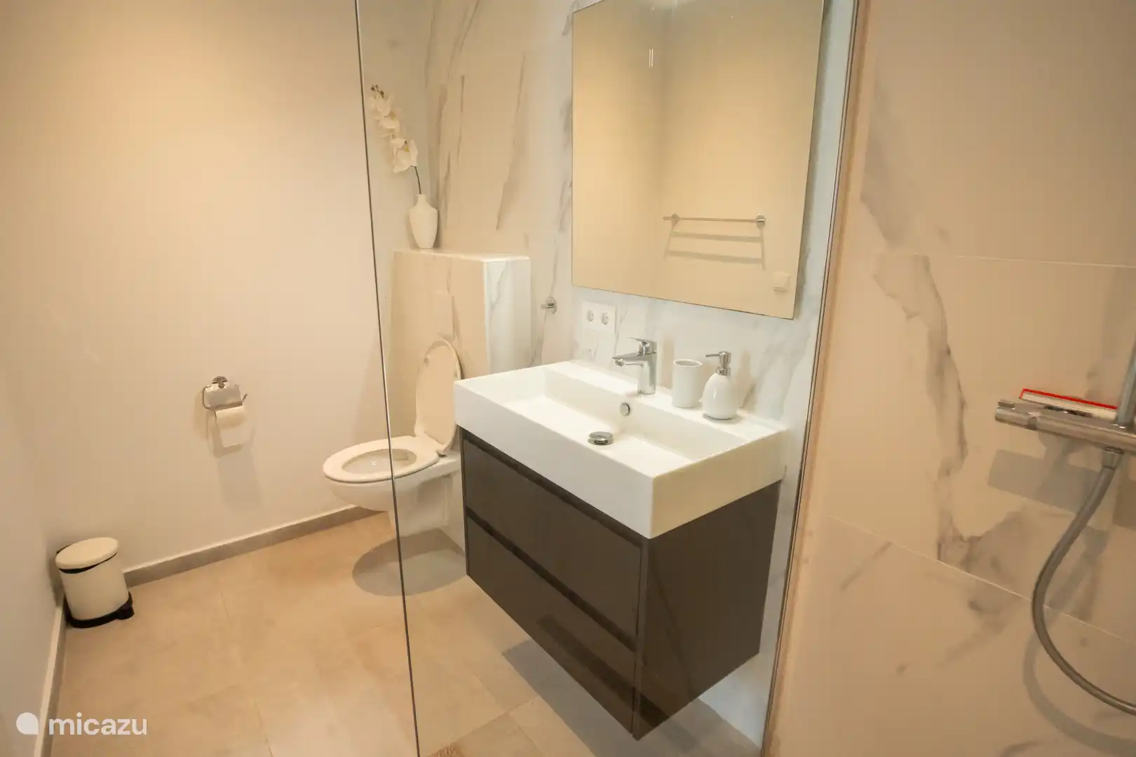 badkamer 1, met toilet en regendouche