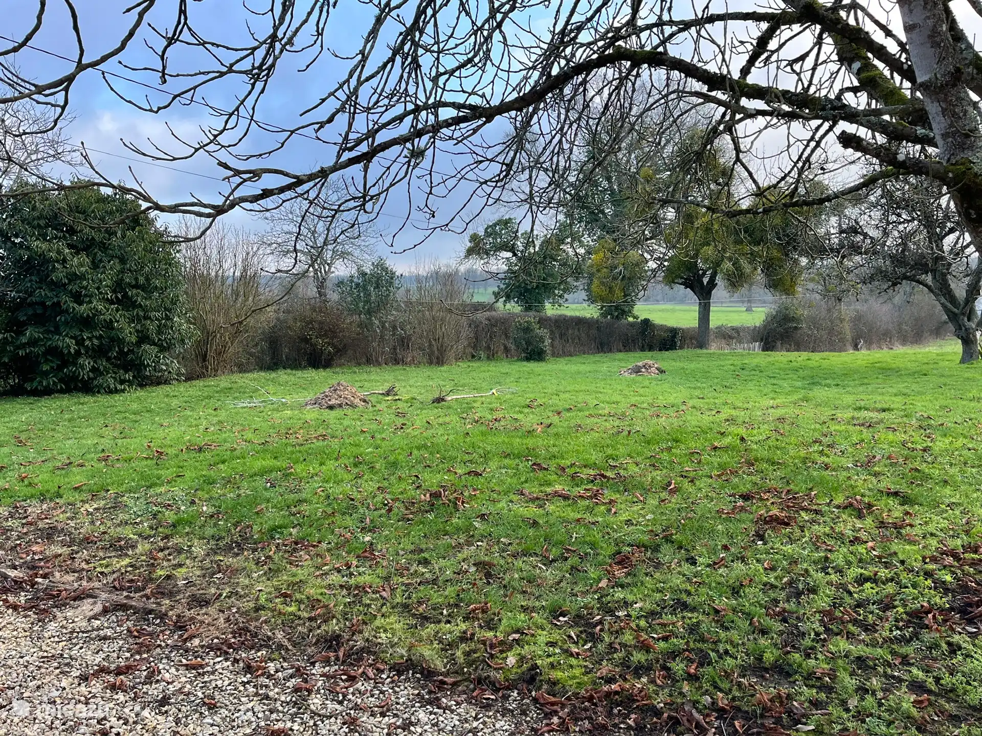 view from the house, under the chestnut tree