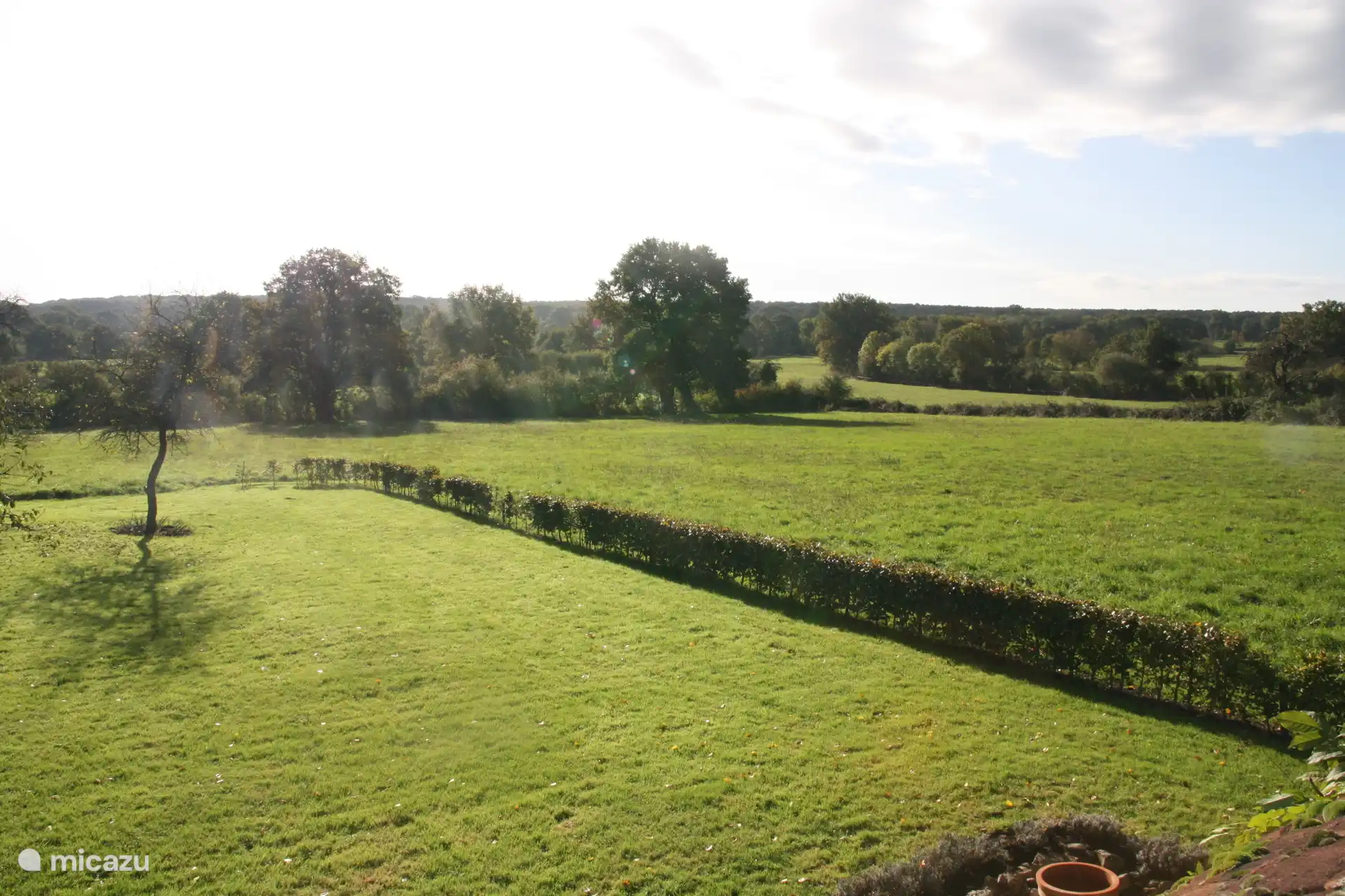 view from the house; view of Foret de Trocais