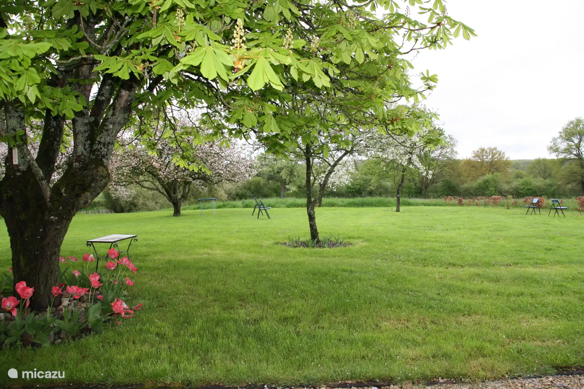 the garden, on the left the chestnut tree