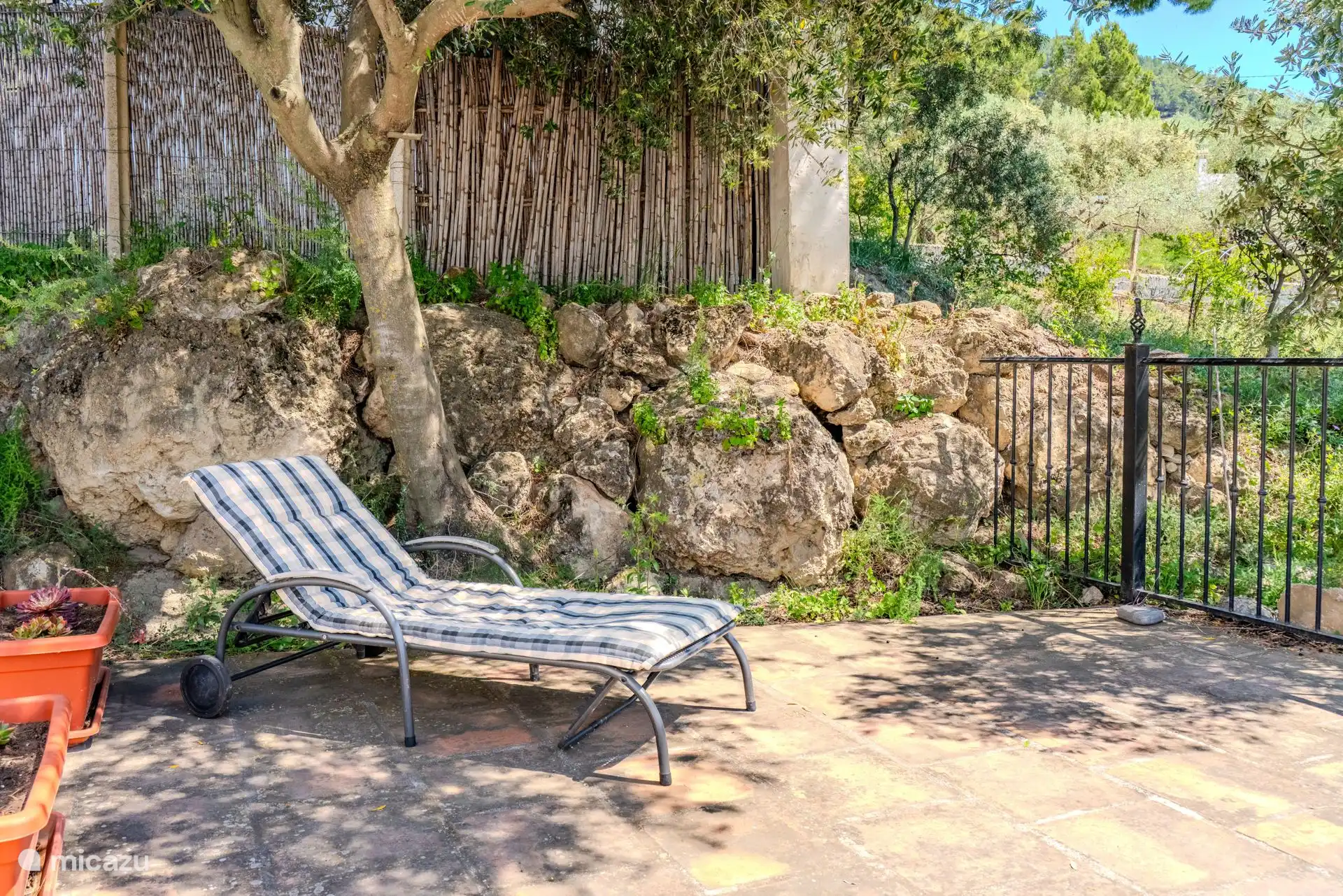 Terraza