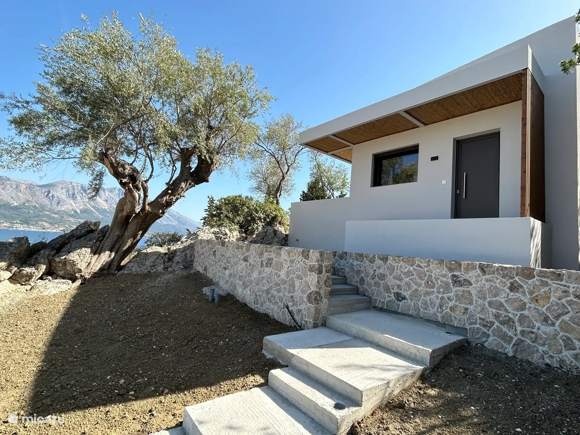 Eingang zur Villa mit dem alten Olivenbaum 