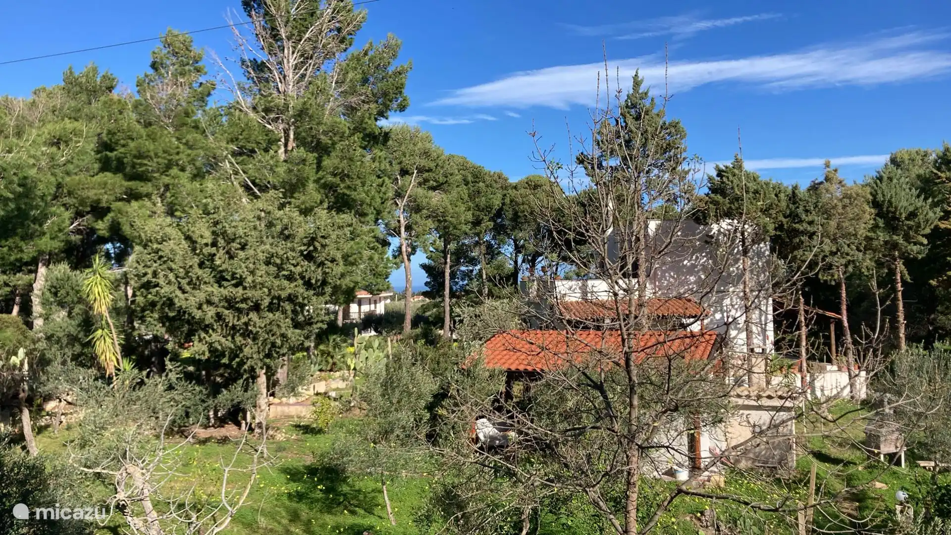 Visto desde el cielo.