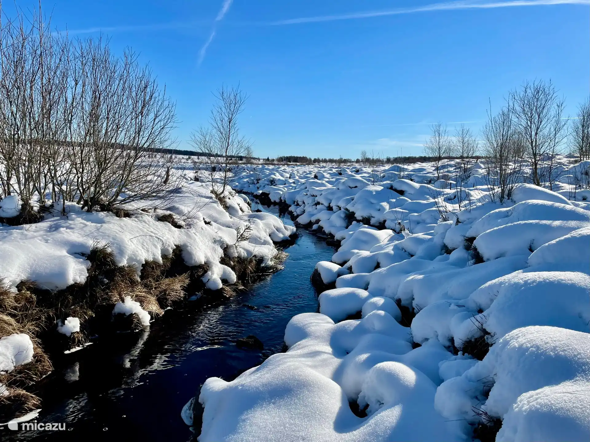 Vue des Hautes Fagnes en hiver