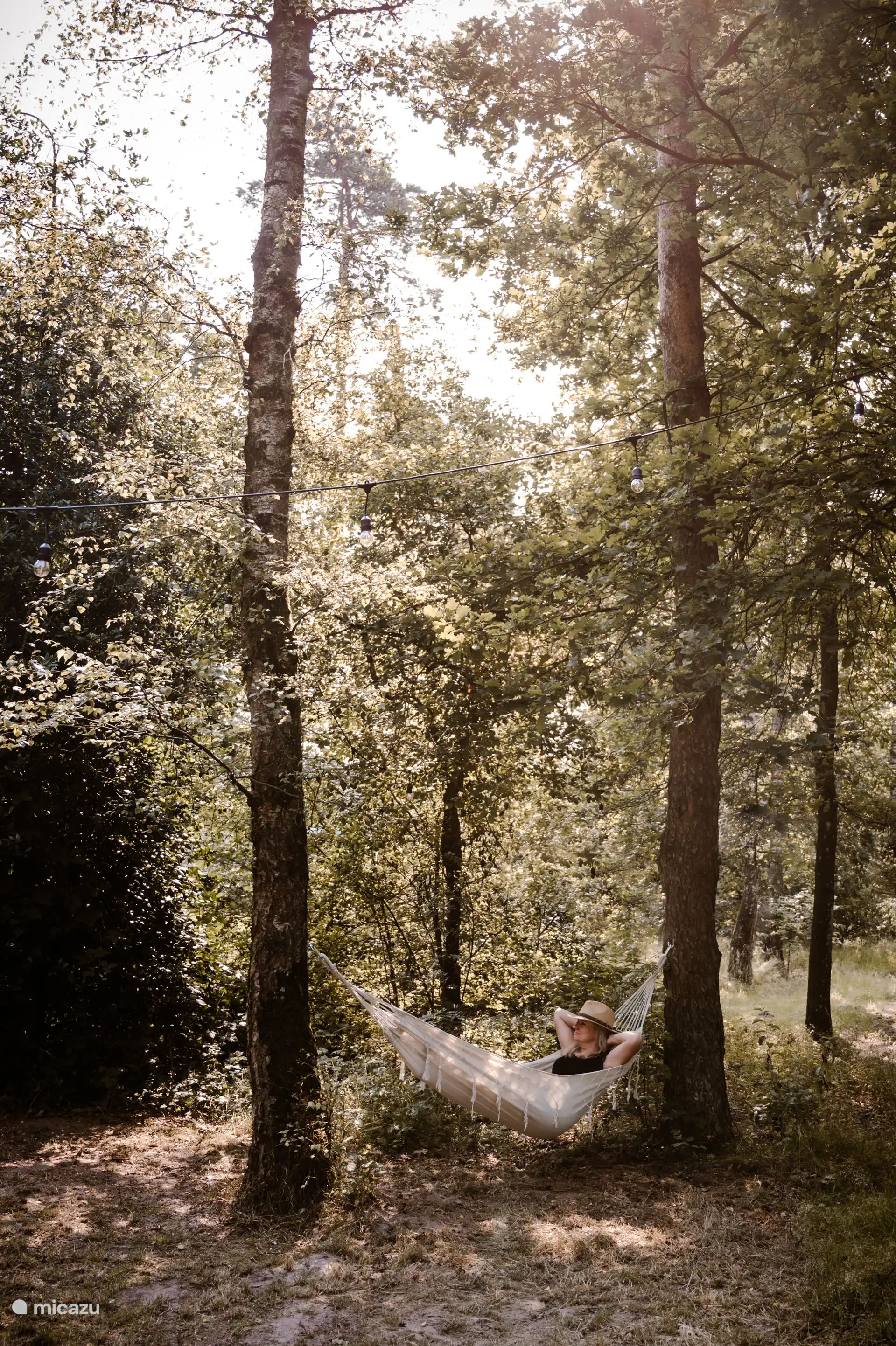 Just relax in the hammock under the trees.