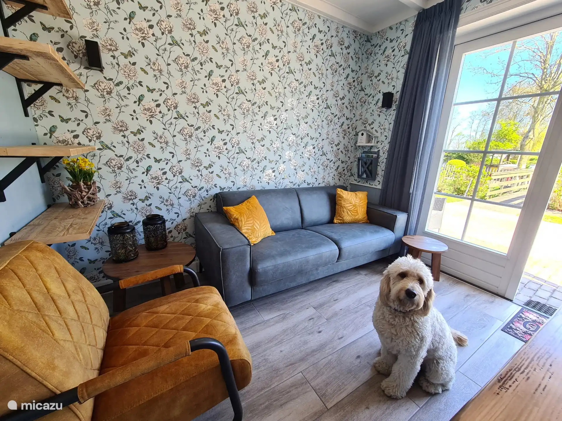 Comme vous pouvez le voir, les animaux de compagnie sont les bienvenus, notre chien Buddy est mannequin photo. Des bols et des carreaux sont fournis. Les animaux de compagnie ne sont pas autorisés dans les chambres.