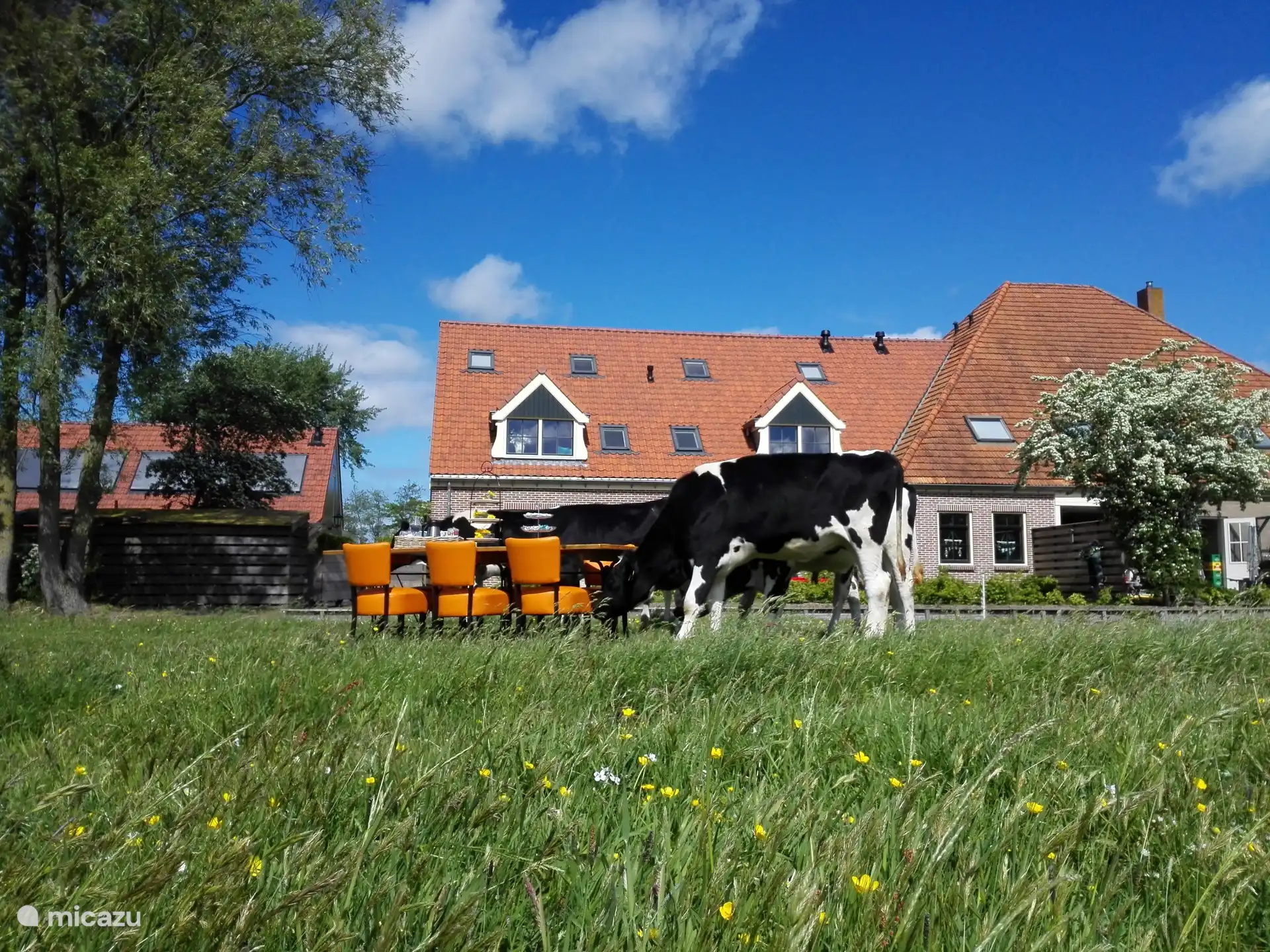 Bullekroffie l’endroit avec 6 appartements de luxe bien-être. Unique, privé, orienté vers le service et personnel.