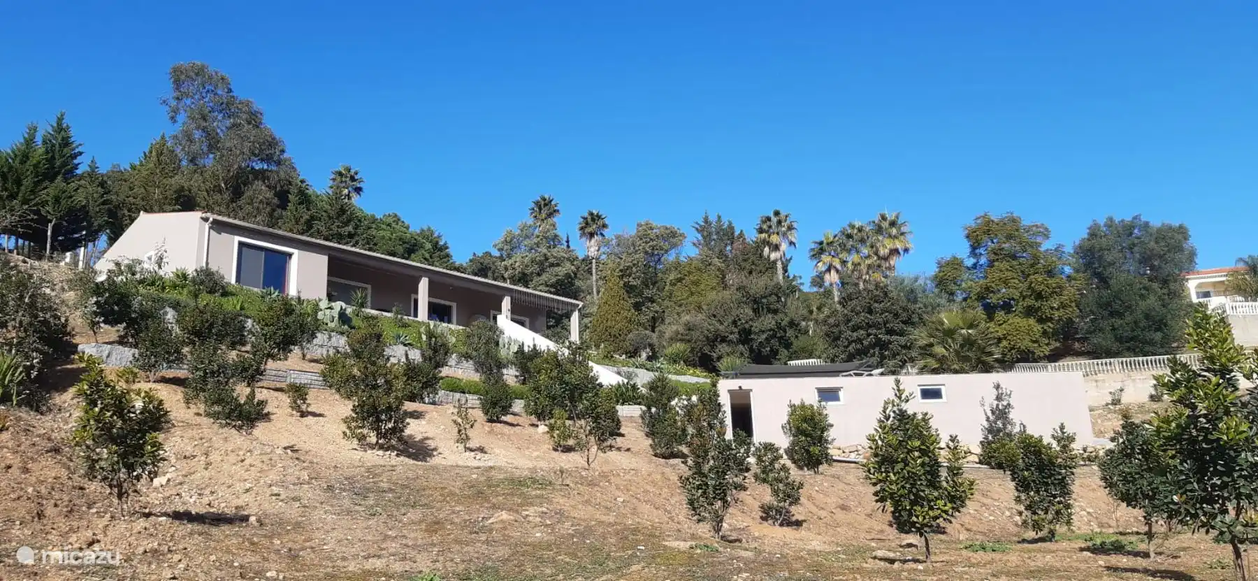 foto van het huis links van het zwembad