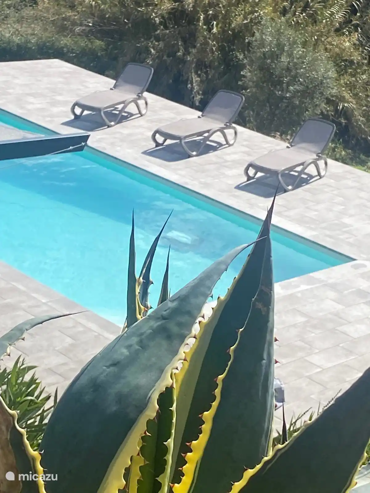 zwembad vanop het keukenterras 