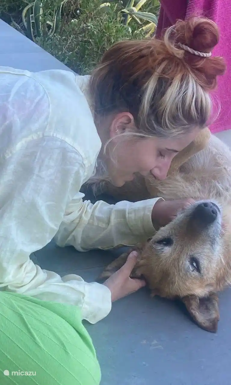 Reggi met een gast die dol is op de hond uit de vallei die regelmatig op bezoek komt.