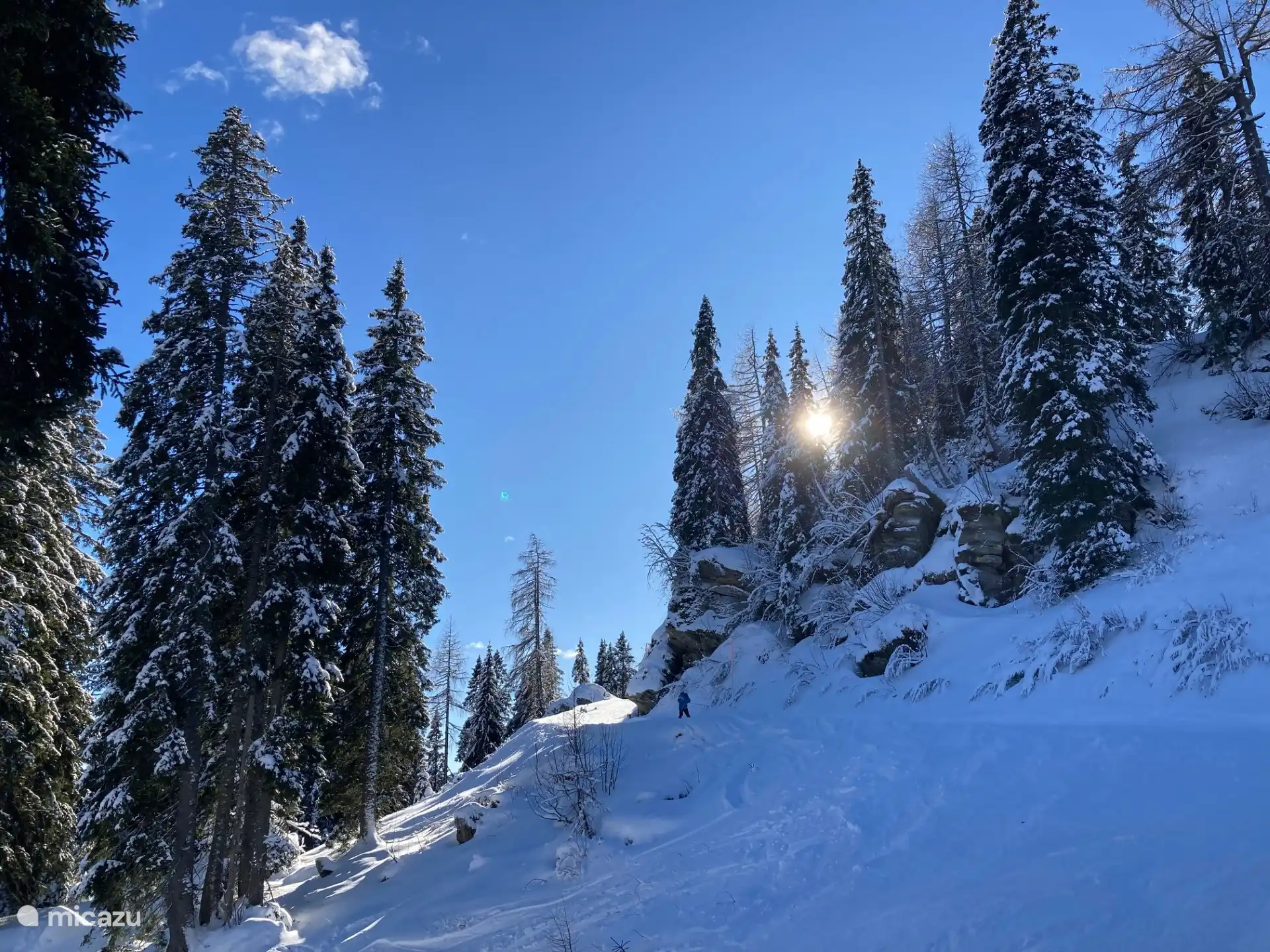 Ein wunderschöner Waldweg im Winter