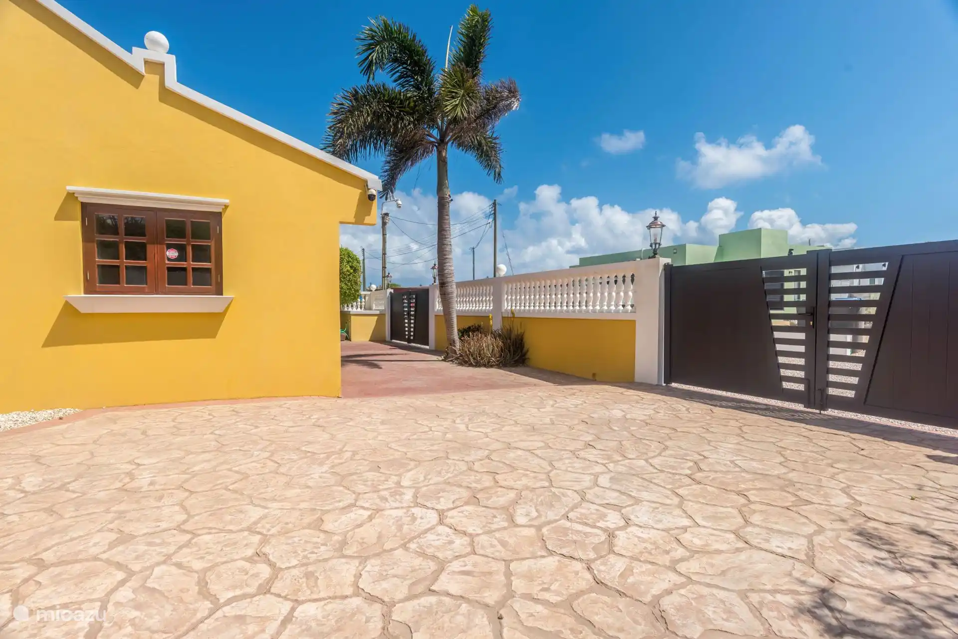 Onze mooie koningspalm