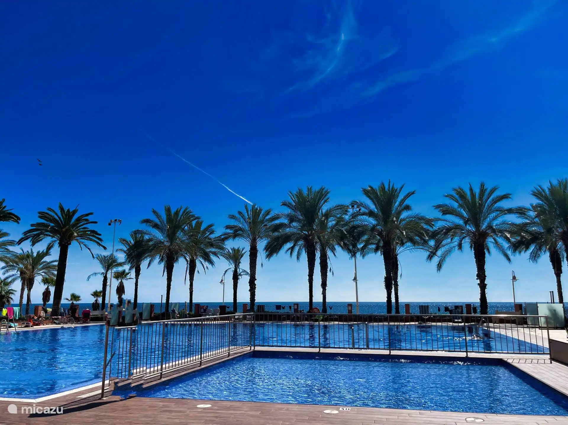 Groot zwembad gedeeld 