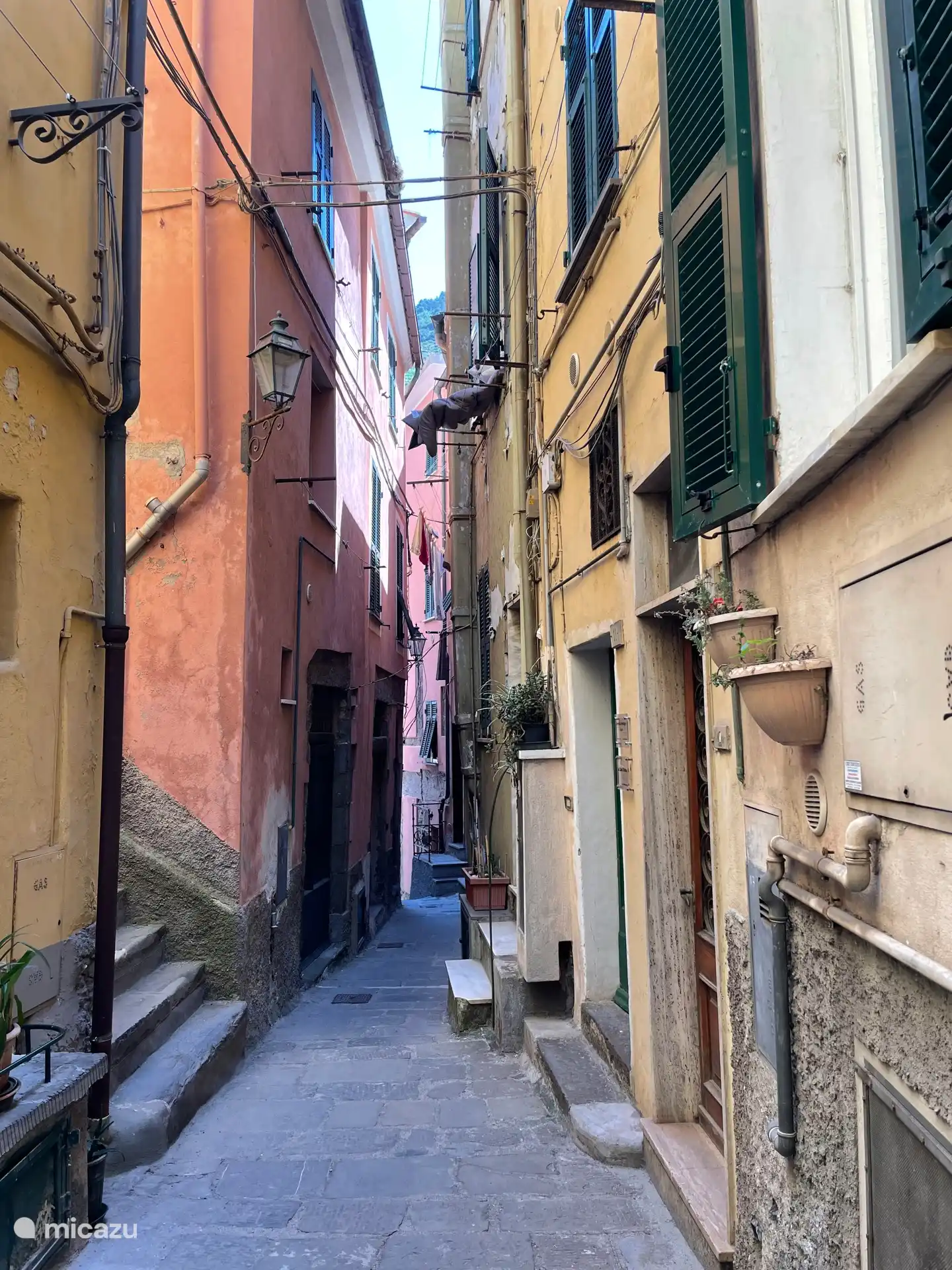 Carrugio (= laan tussen de huizen) van Vernazza 