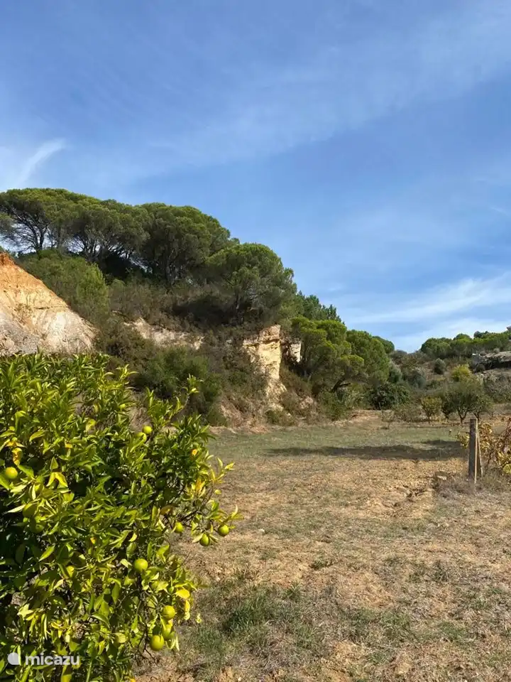 View of the rocks, from the bottom of the valley, near the fruit trees.