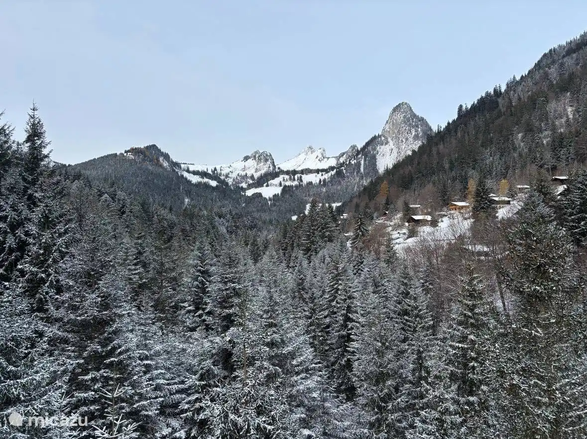 Schneebedeckter Wald in Torgon im Winter – Bergatmosphäre in den Portes du Soleil