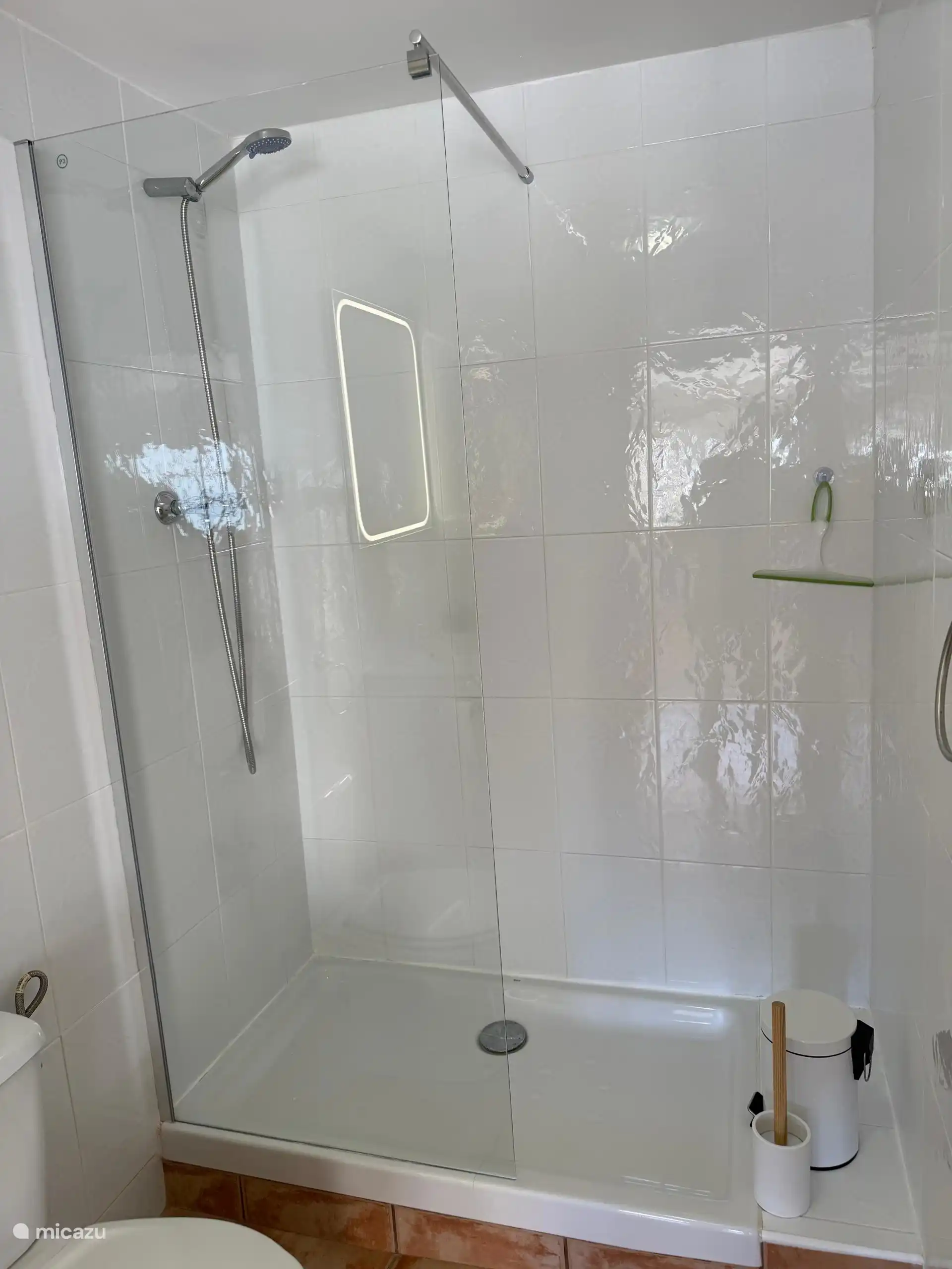 Glazen wand van de douche