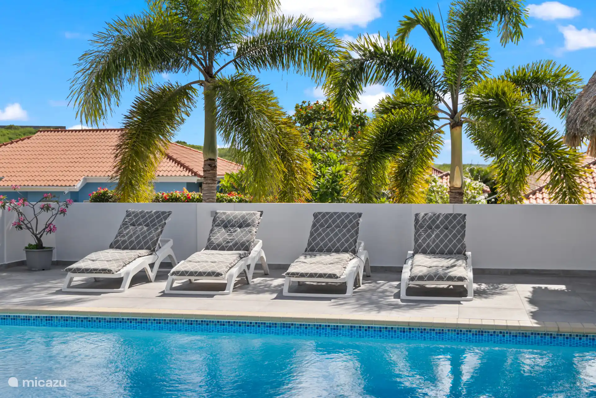 De ligbedden, aan het zwembad, onder het zachte ruisen van de palmbomen. 