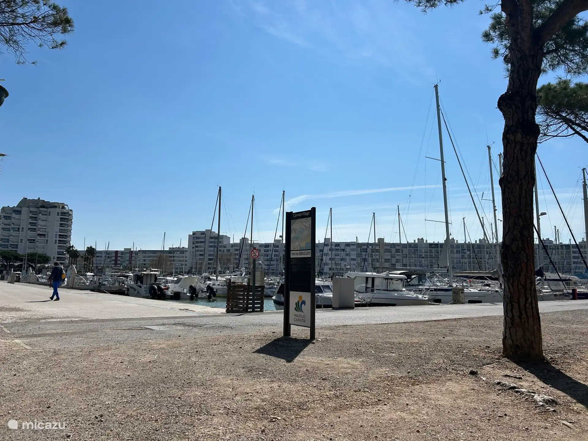 Le port de Carnon à 5 minutes à pied