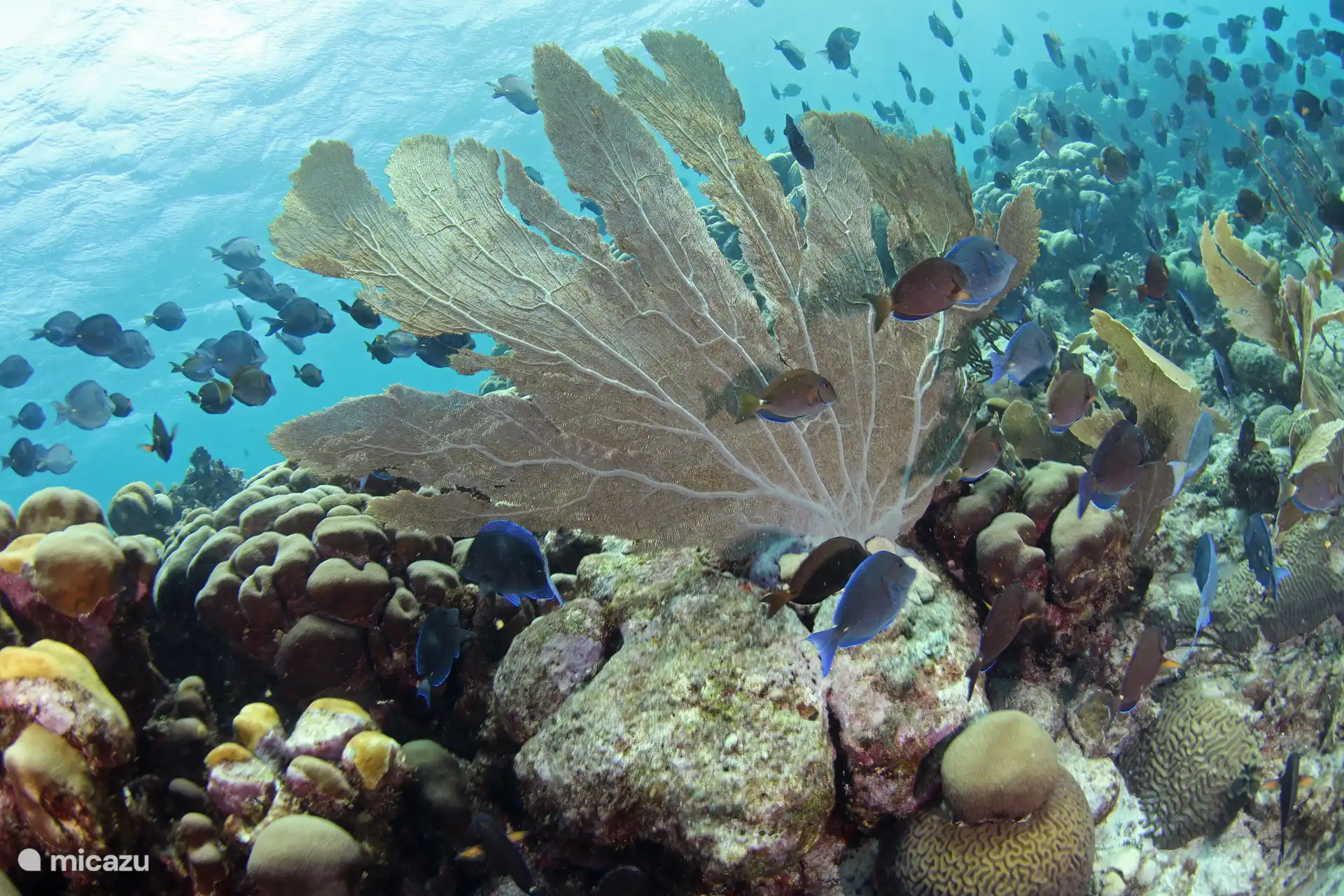 Hier vind je indrukwekkende kliffen, helderblauw water en uitstekende snorkel- en duiklocaties.