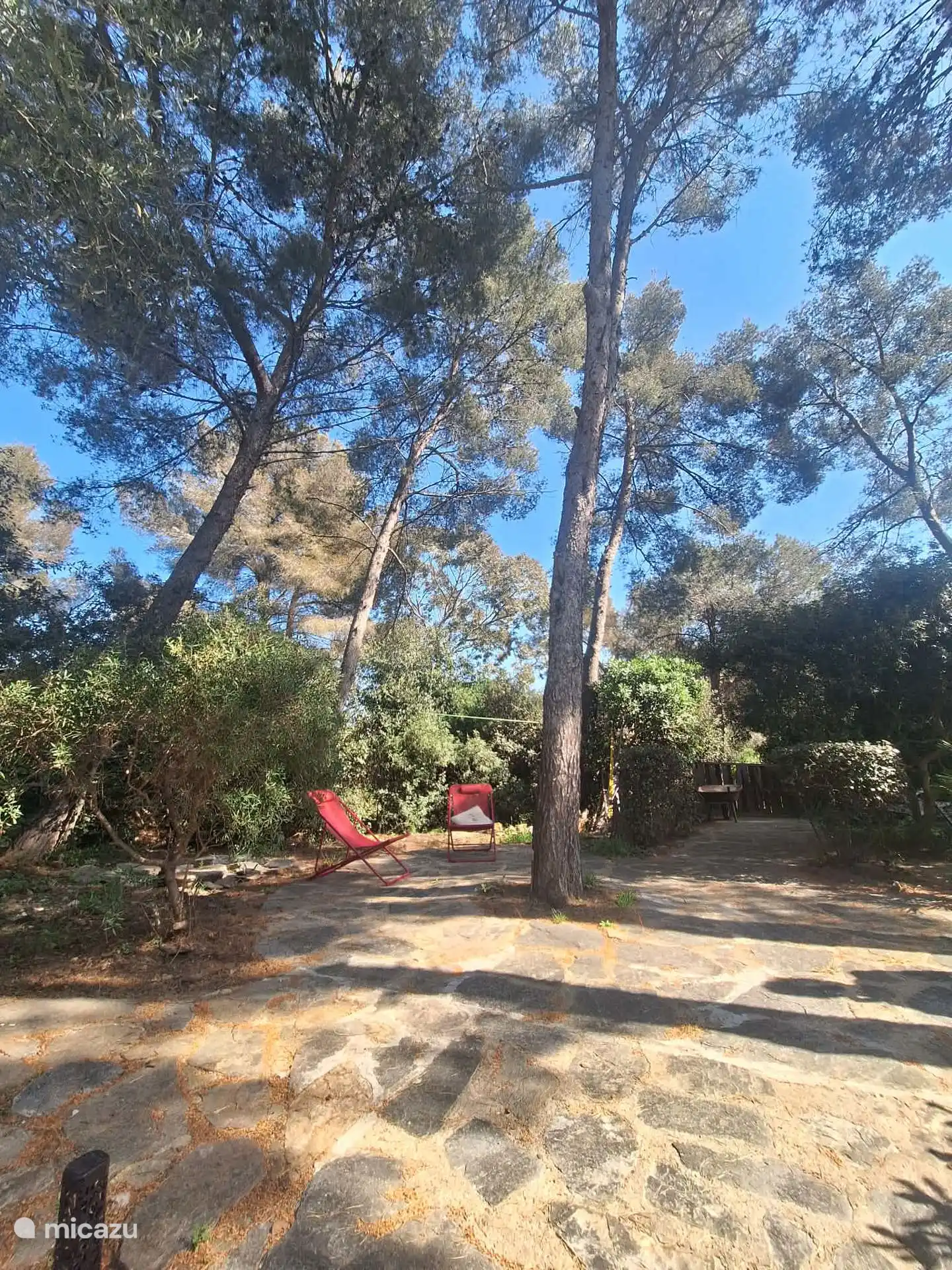Uw tuin, met een uitgang in het bos die direct naar het strand gaat