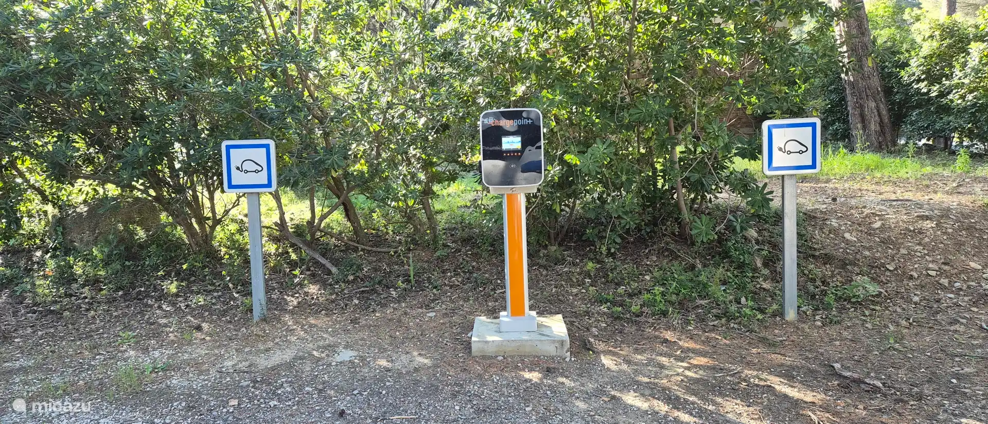 Puedes cargar tu coche en el dominio