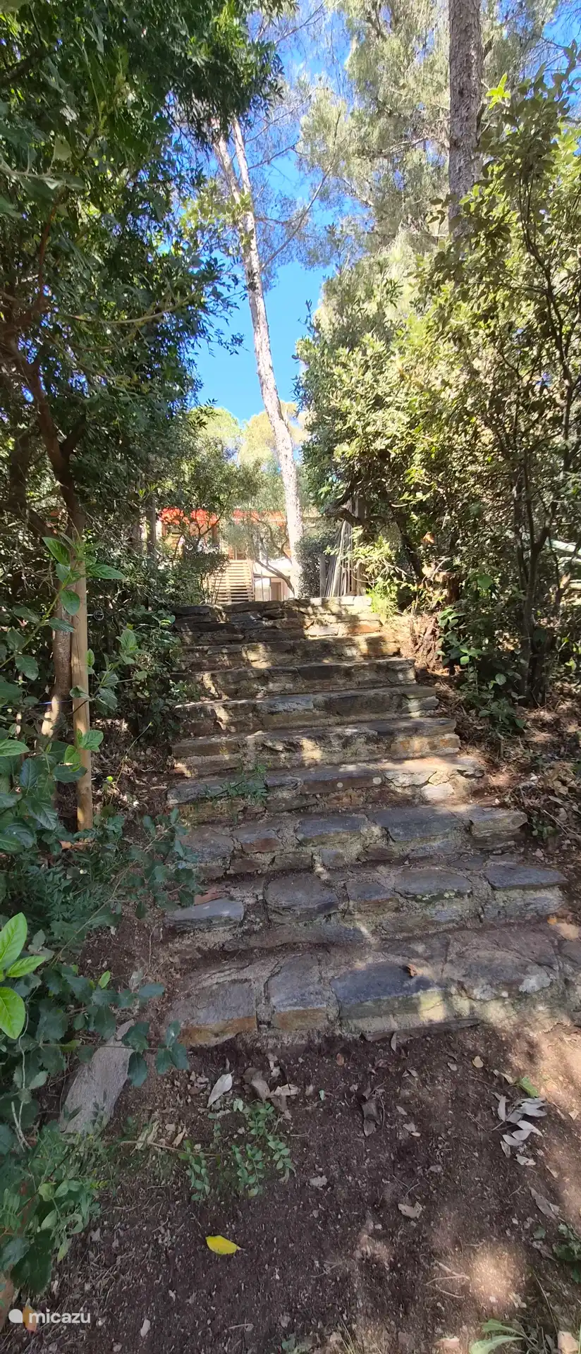 Het trapje en wegetje direct naar zee