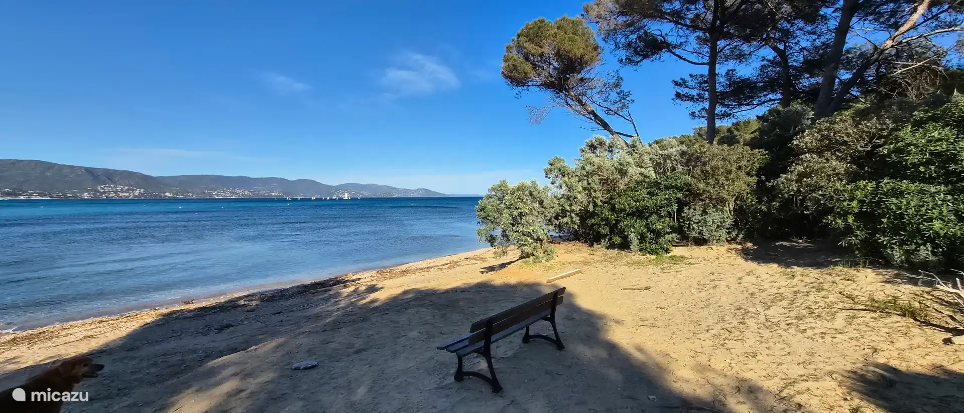 Playa de Les Cigales en el dominio