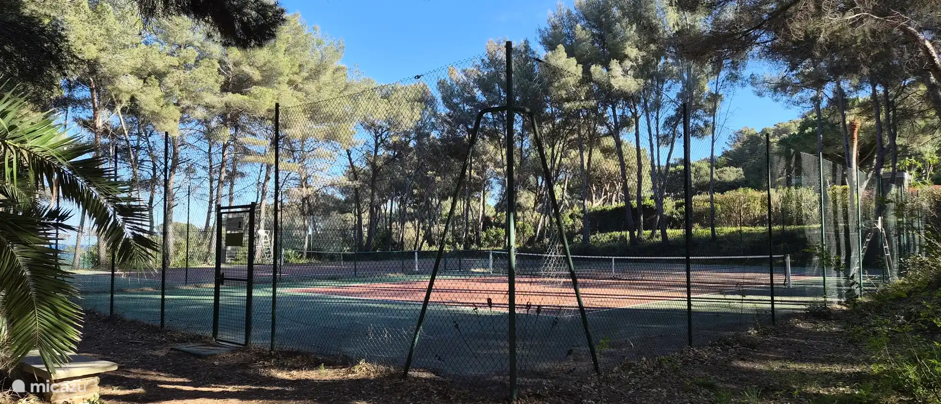 El tenis en el dominio 