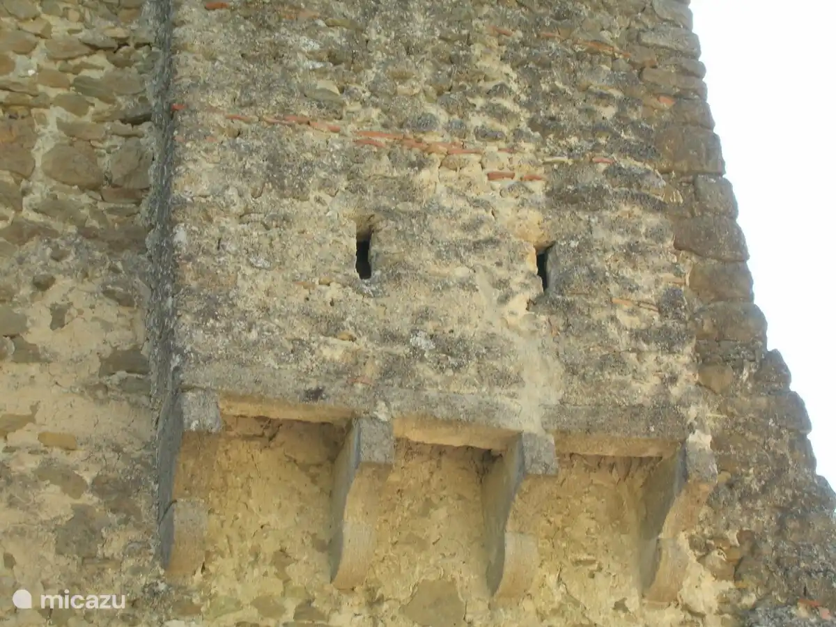 De snor een verdediging boven het entree