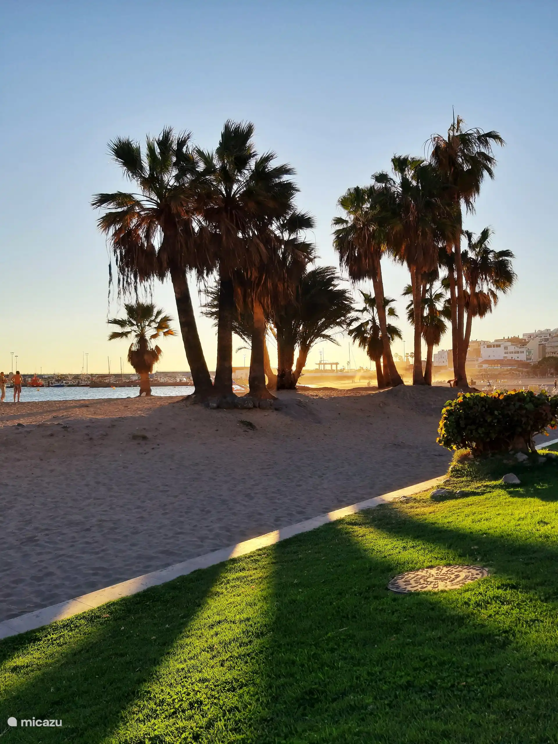 Sfeervolle plek aan het strand met palmbomen en zonsondergang. Perfect voor een avondwandeling of om te genieten van rust en uitzicht over zee