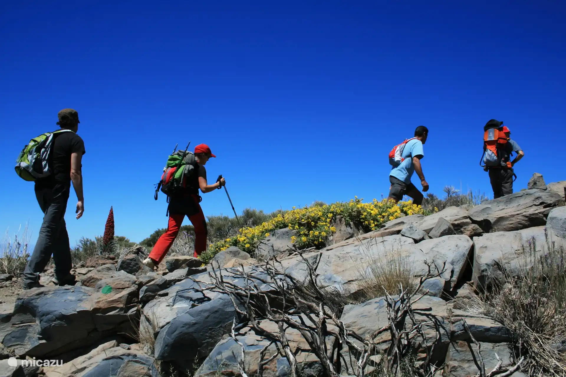 Mooie wandelroutes door het ruige landschap van Tenerife. Ideaal voor actieve gasten die willen genieten van natuur, rust en indrukwekkende uitzichten.
