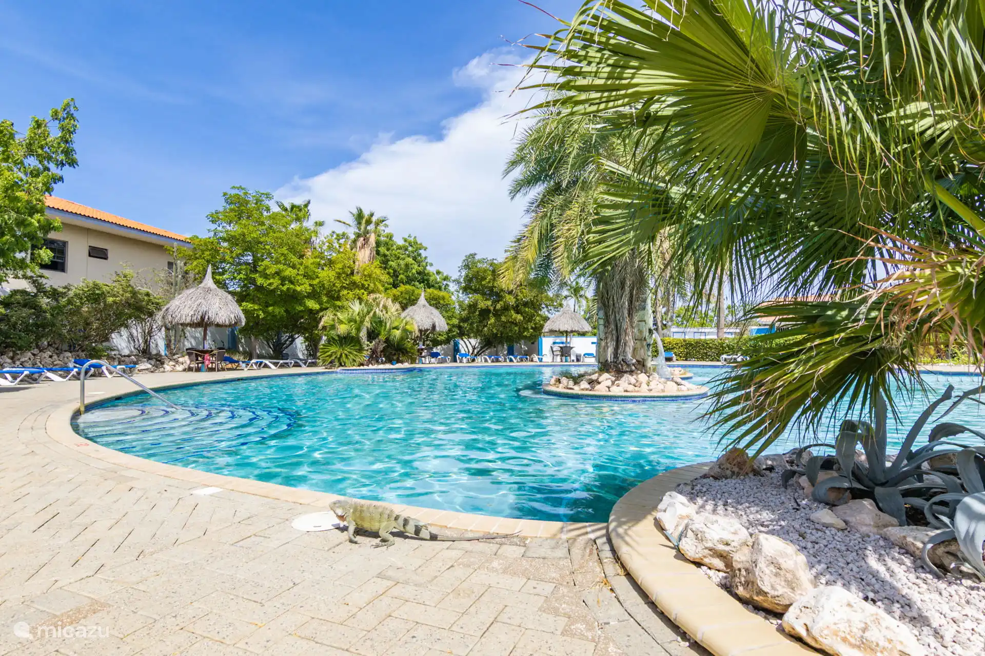 bungalow huren in Montan'i Rei, Banda Ariba (oost), Curaçao - Casa Coral Tropical op resort + pool