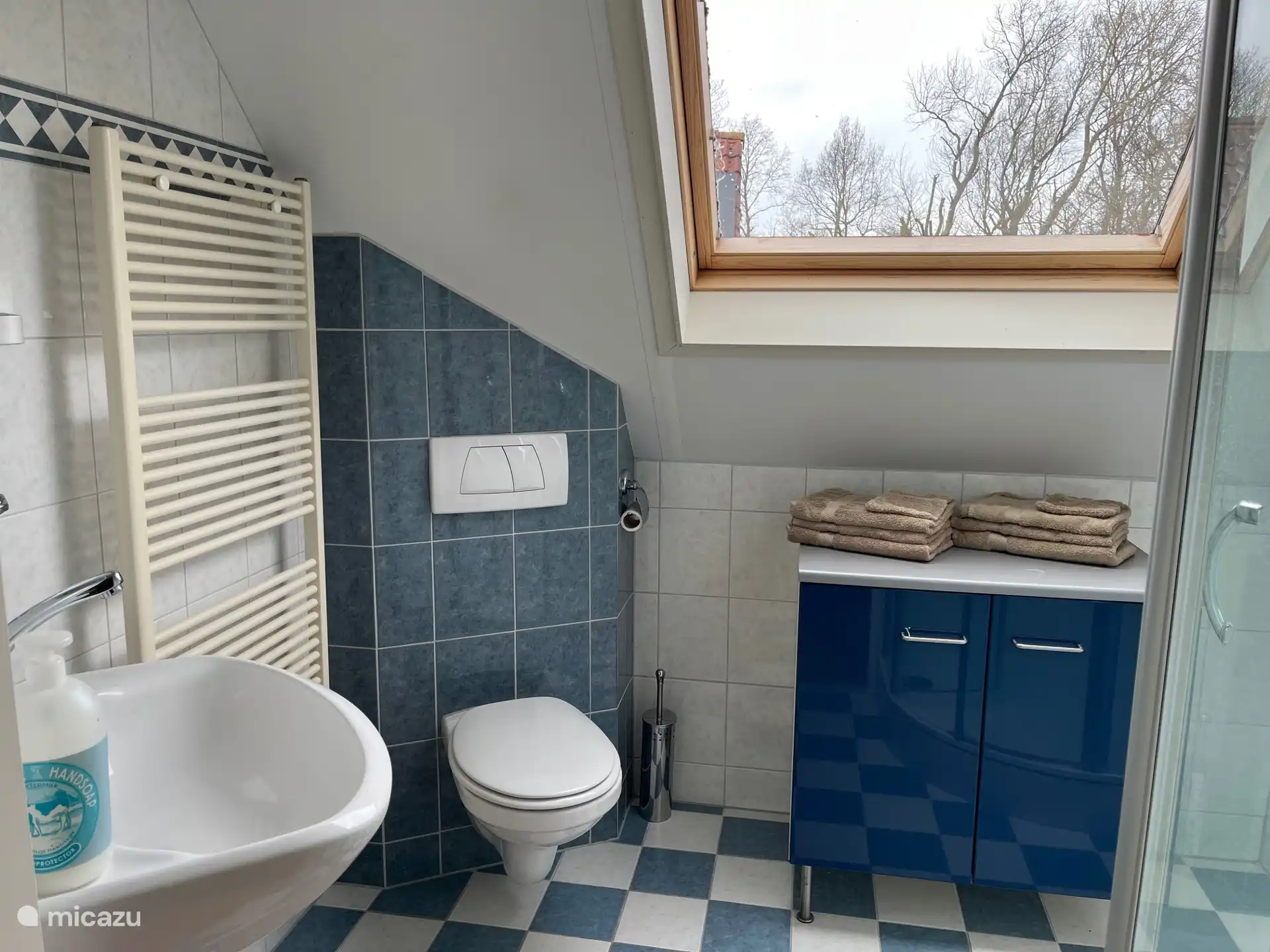 Badkamer met douche, toilet en wastafel