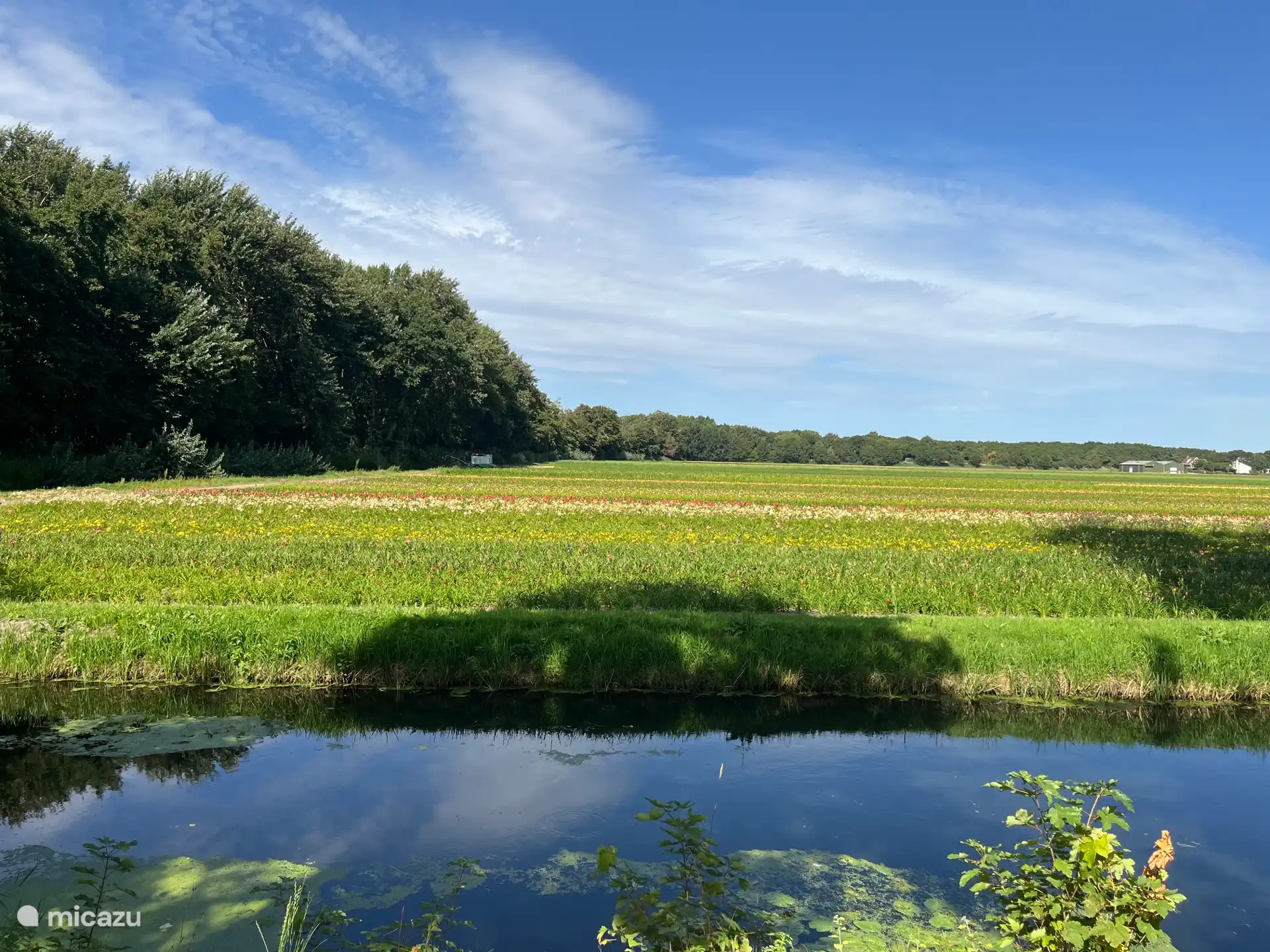Vue depuis le jardin