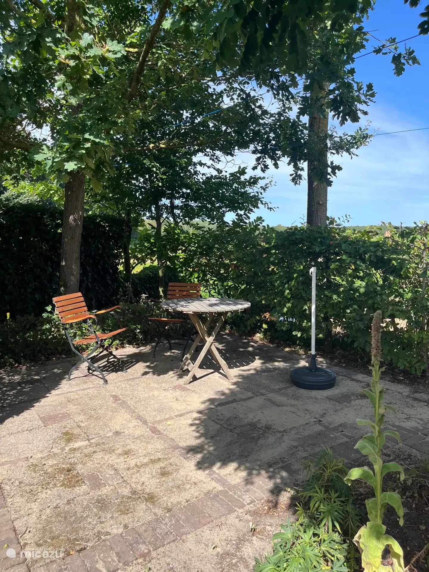 Jardin avec sièges